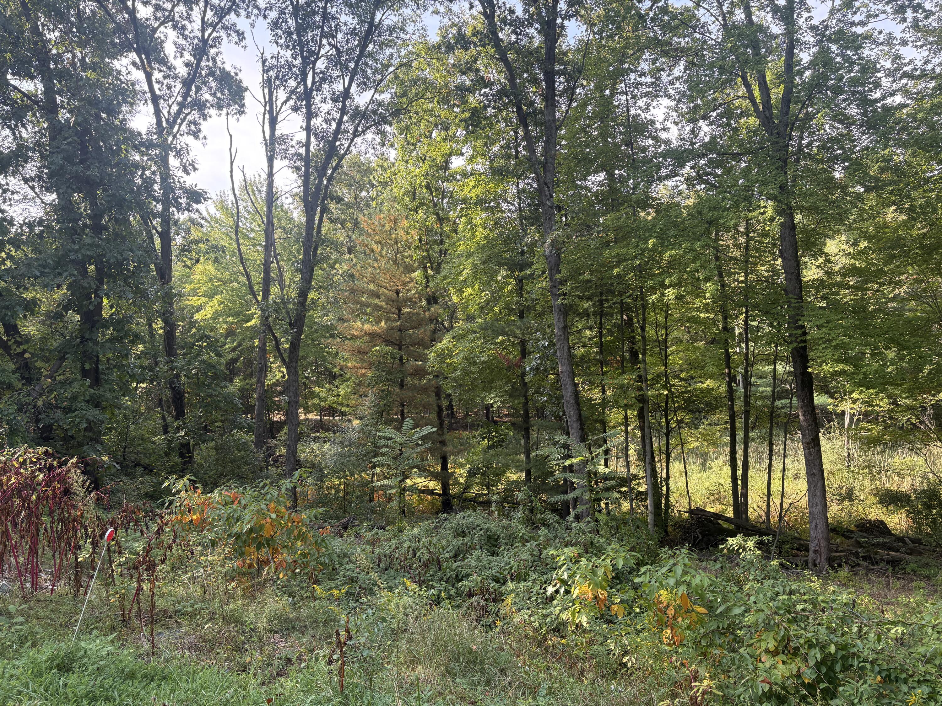 2097 Geneva Lane Norton Shores MI 49441
