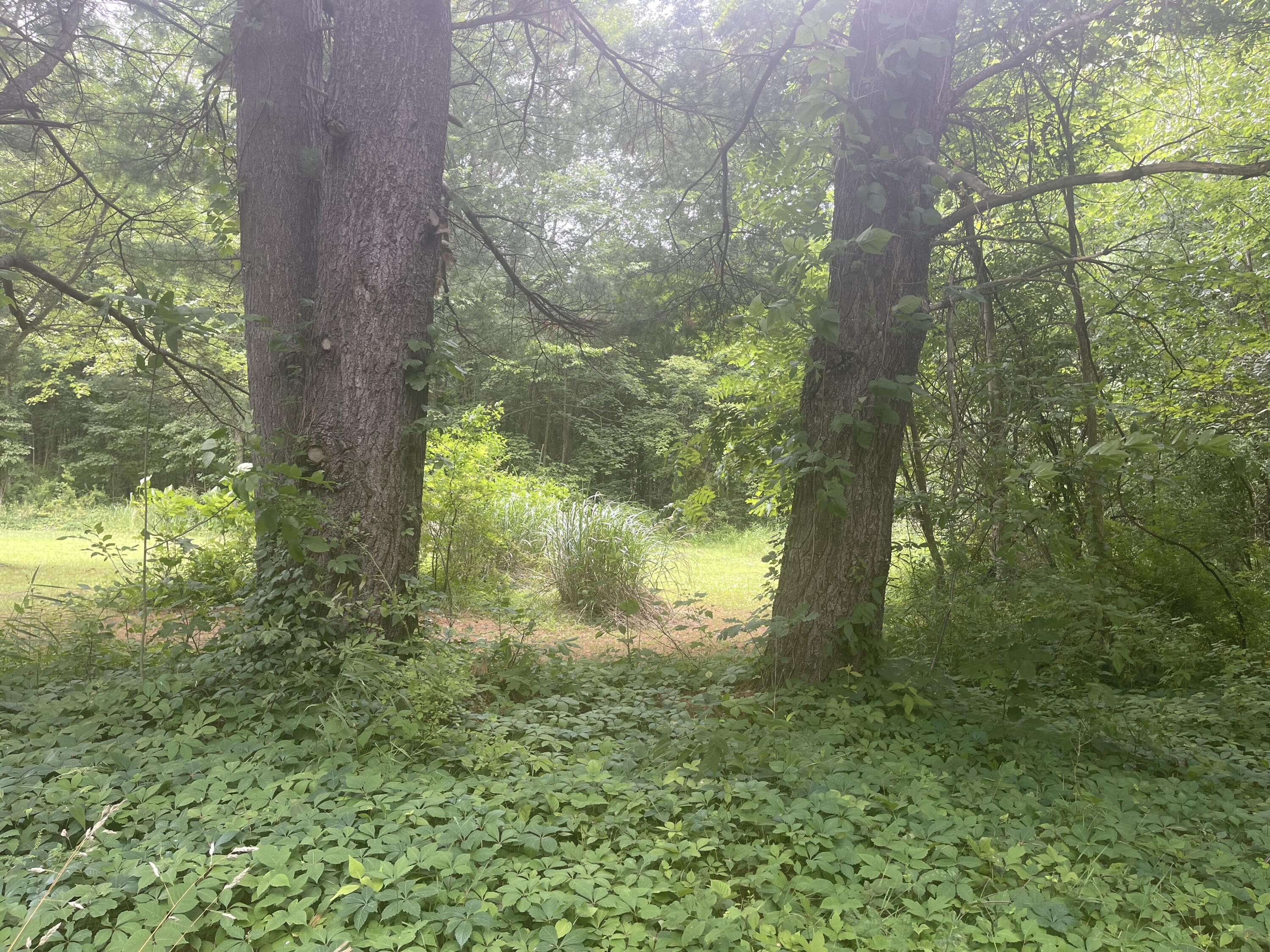 Vacant Lot Miami Avenue Grand Junction MI 49056