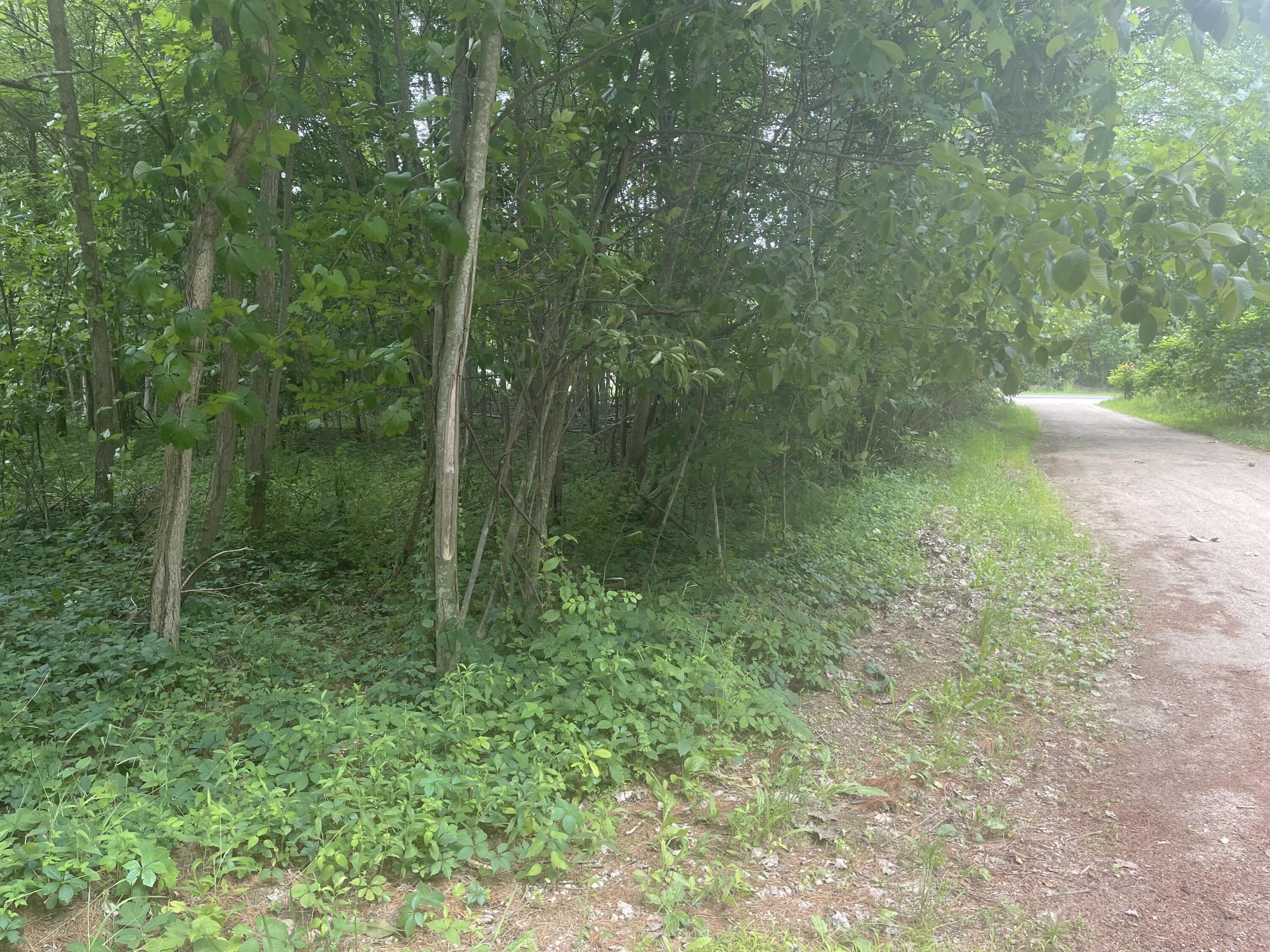Vacant Lot Miami Avenue Grand Junction MI 49056