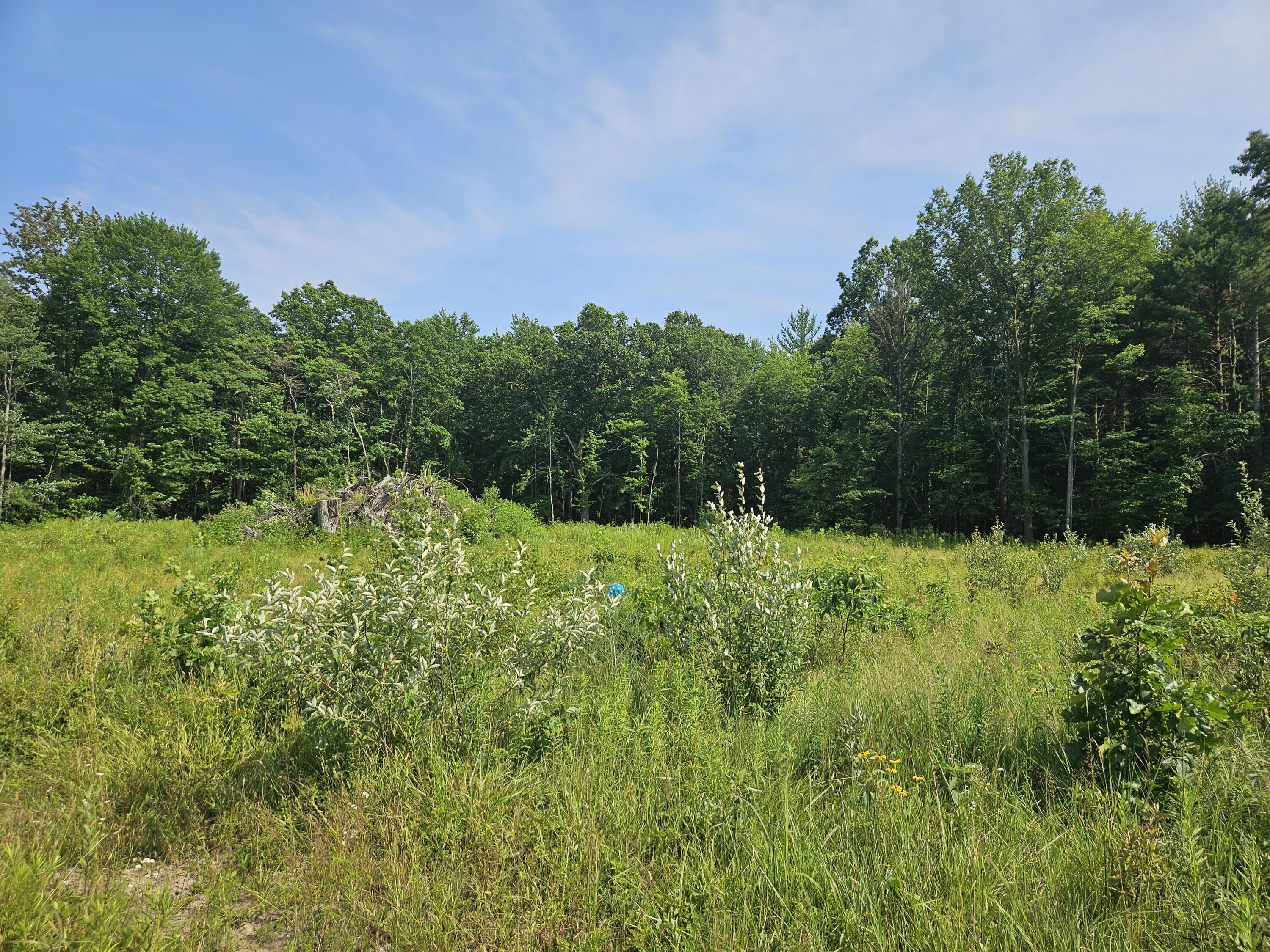 V/l 54th Street Fennville MI 49408