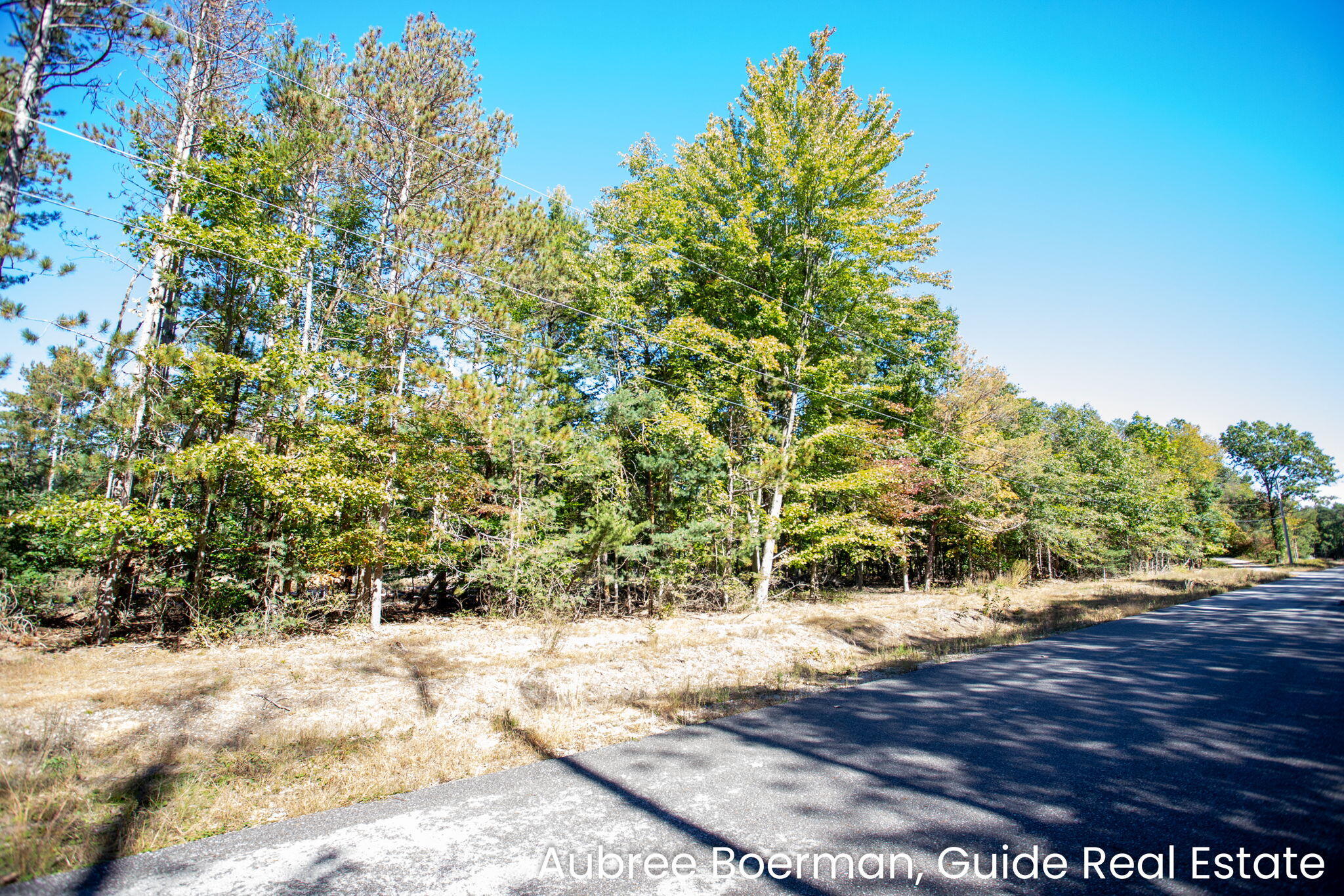15955 Revello Court West Olive MI 49460