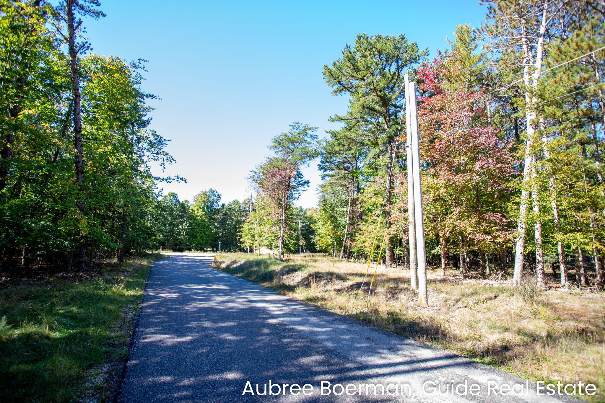 15955 Revello Court West Olive MI 49460