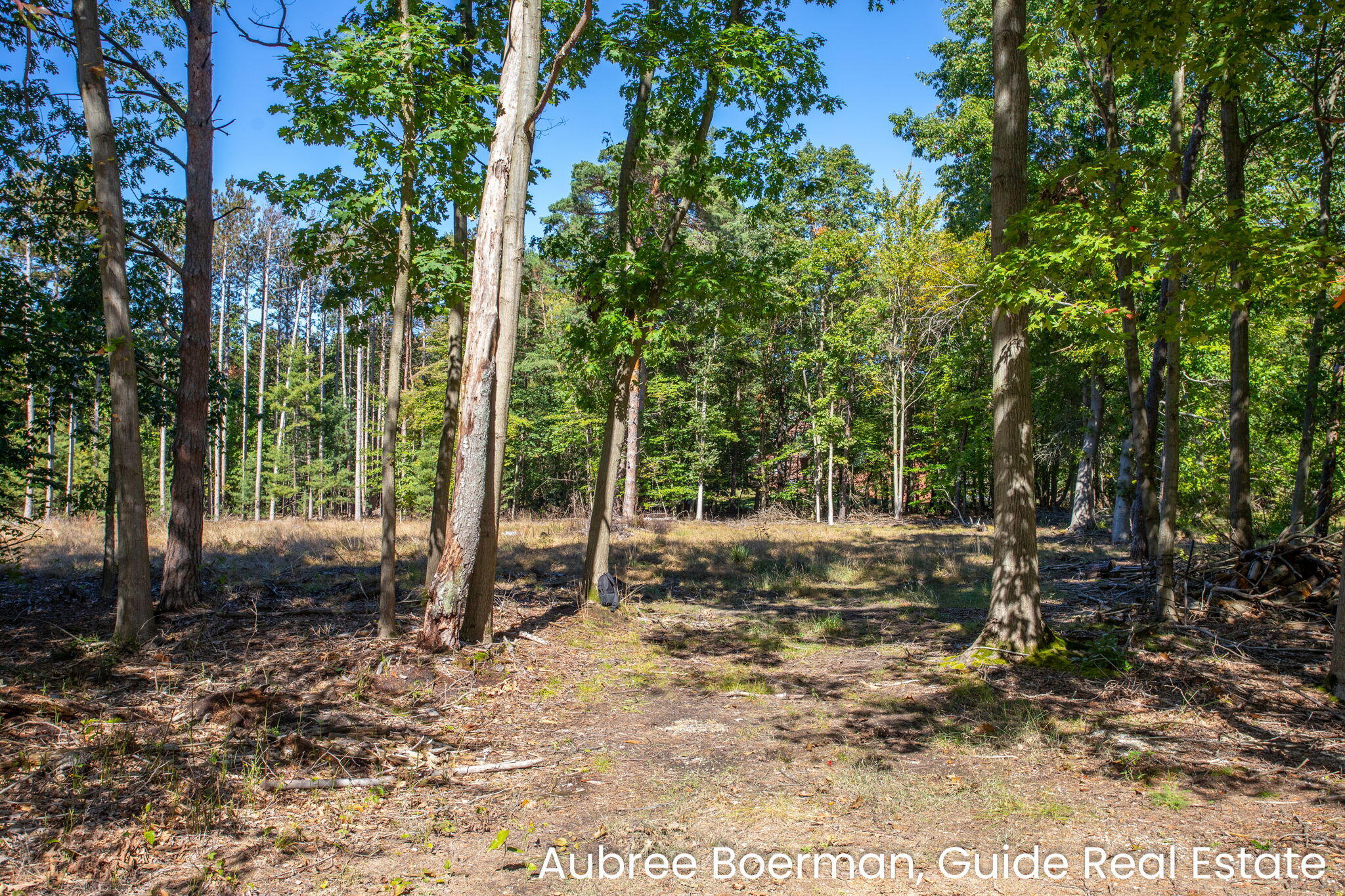15955 Revello Court West Olive MI 49460