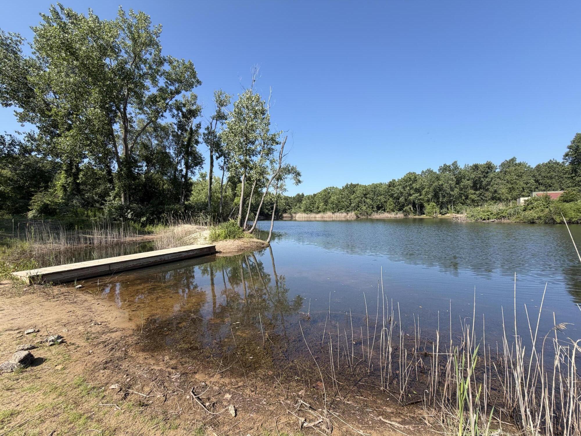 7395 Lake Solis Drive Stevensville MI 49127