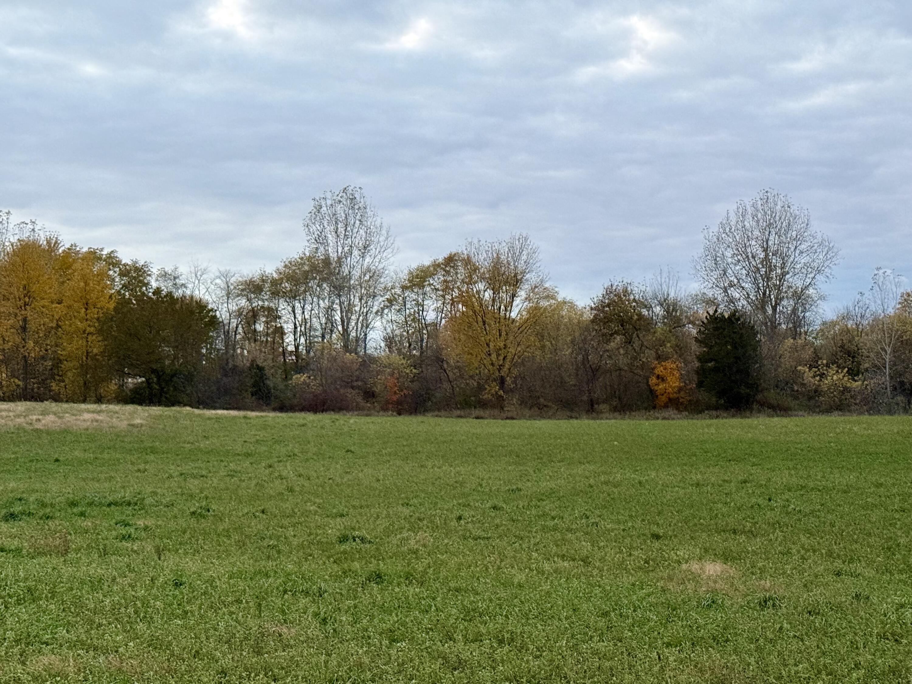 Parcel H 34th Street Zeeland MI 49464