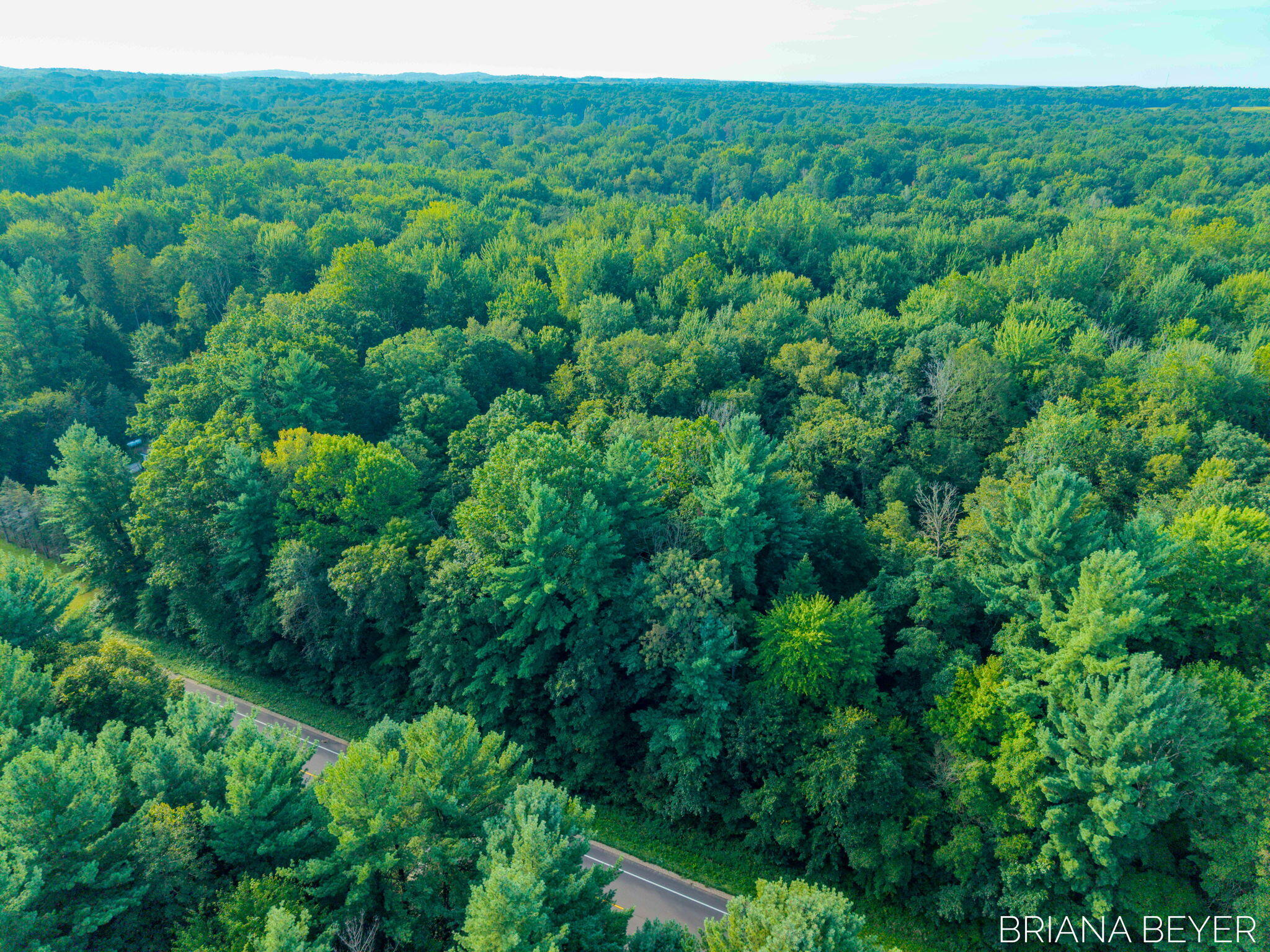 5 Acres 128th Avenue Allegan MI 49010