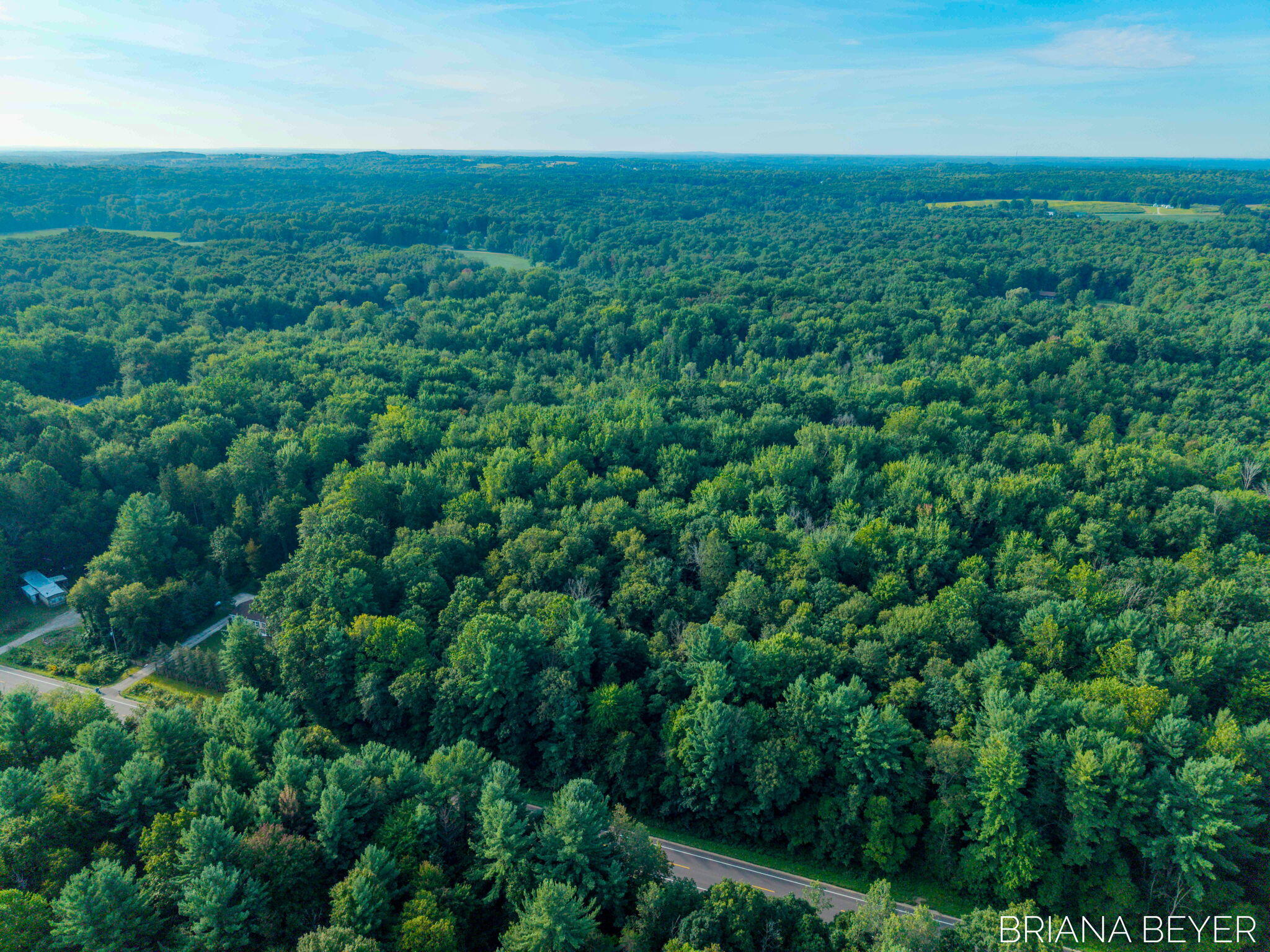 5 Acres 128th Avenue Allegan MI 49010