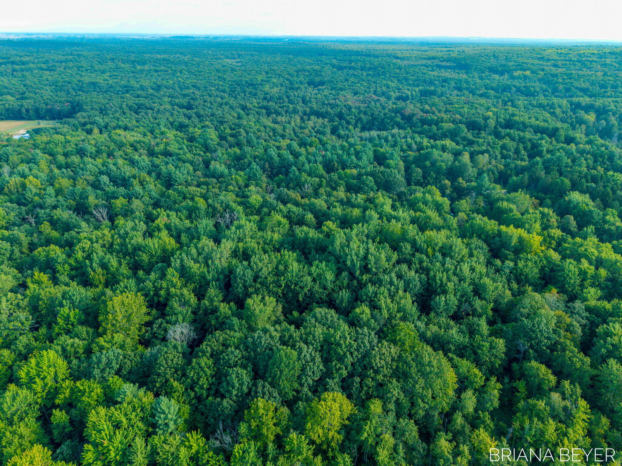 5 Acres 128th Avenue Allegan MI 49010