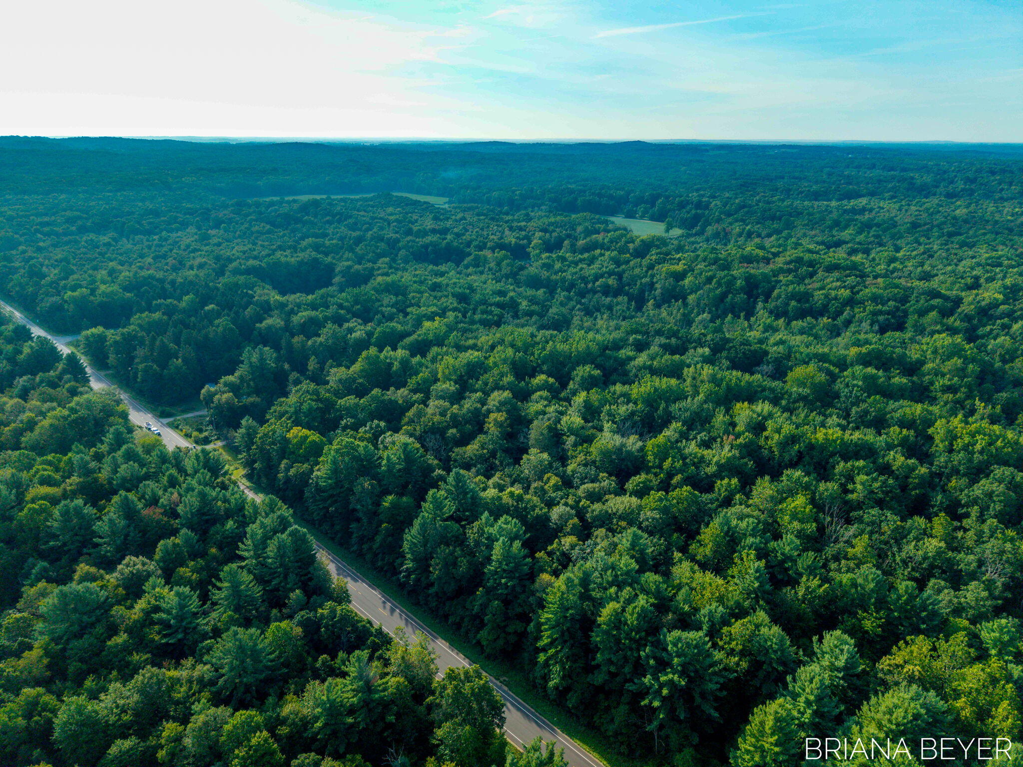 5 Acres 128th Avenue Allegan MI 49010
