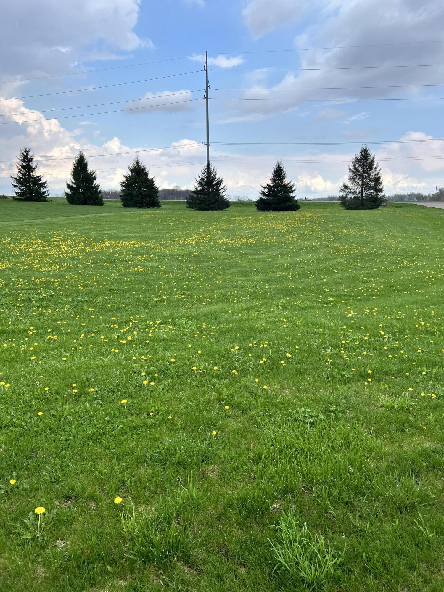 Ryan Road Marcellus MI 49067