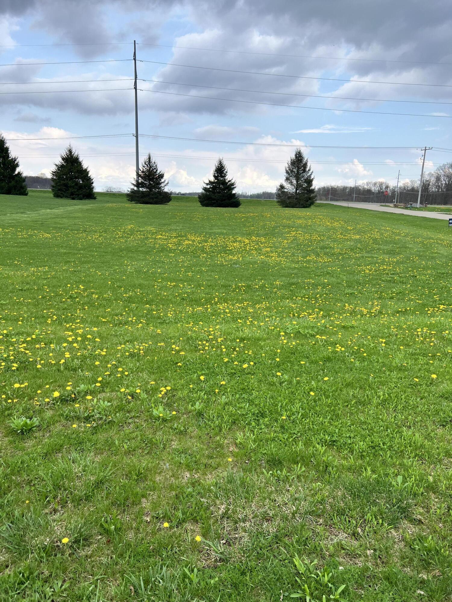 Ryan Road Marcellus MI 49067