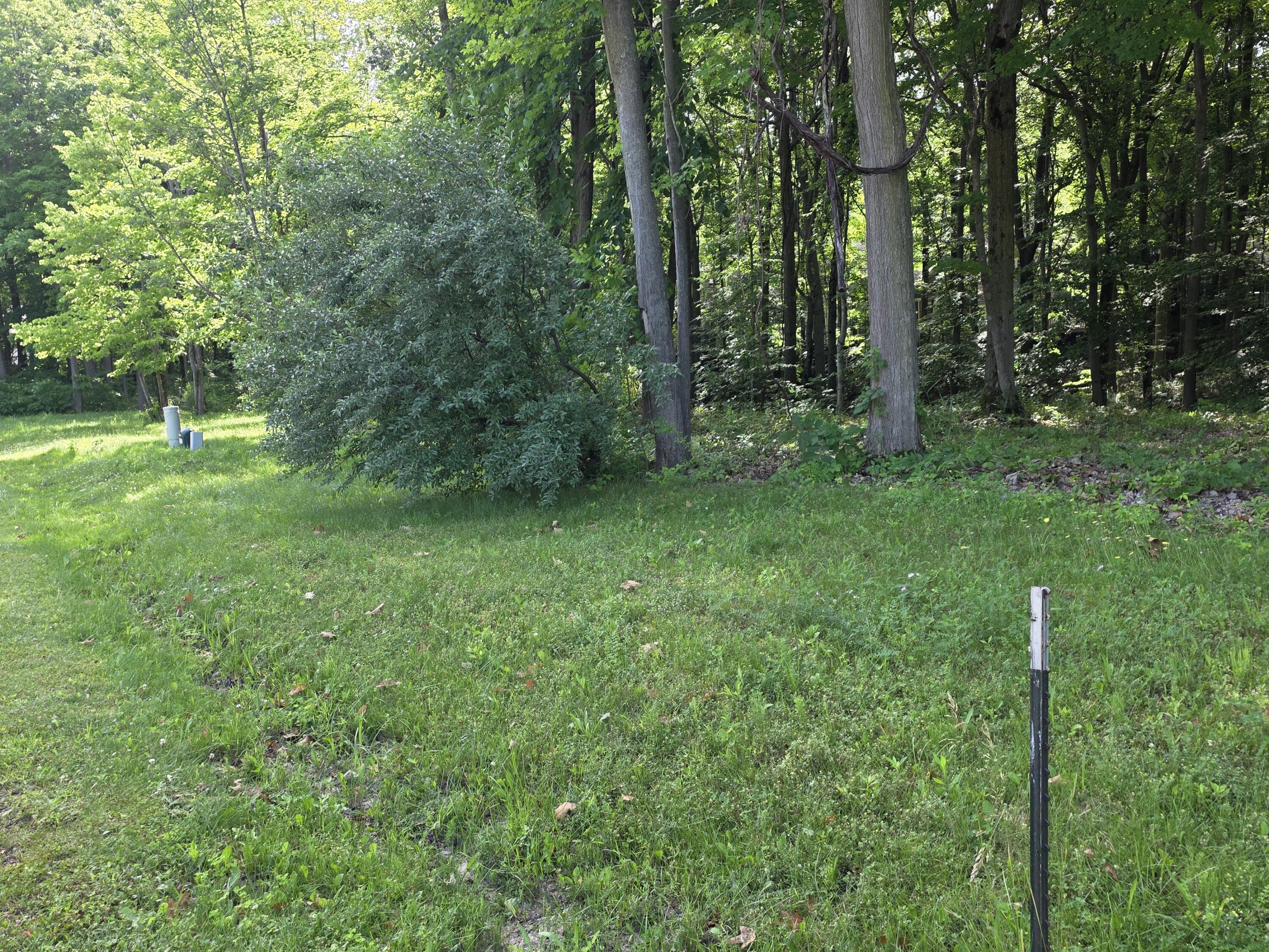 17645 Summerhill Lane New Buffalo MI 49117