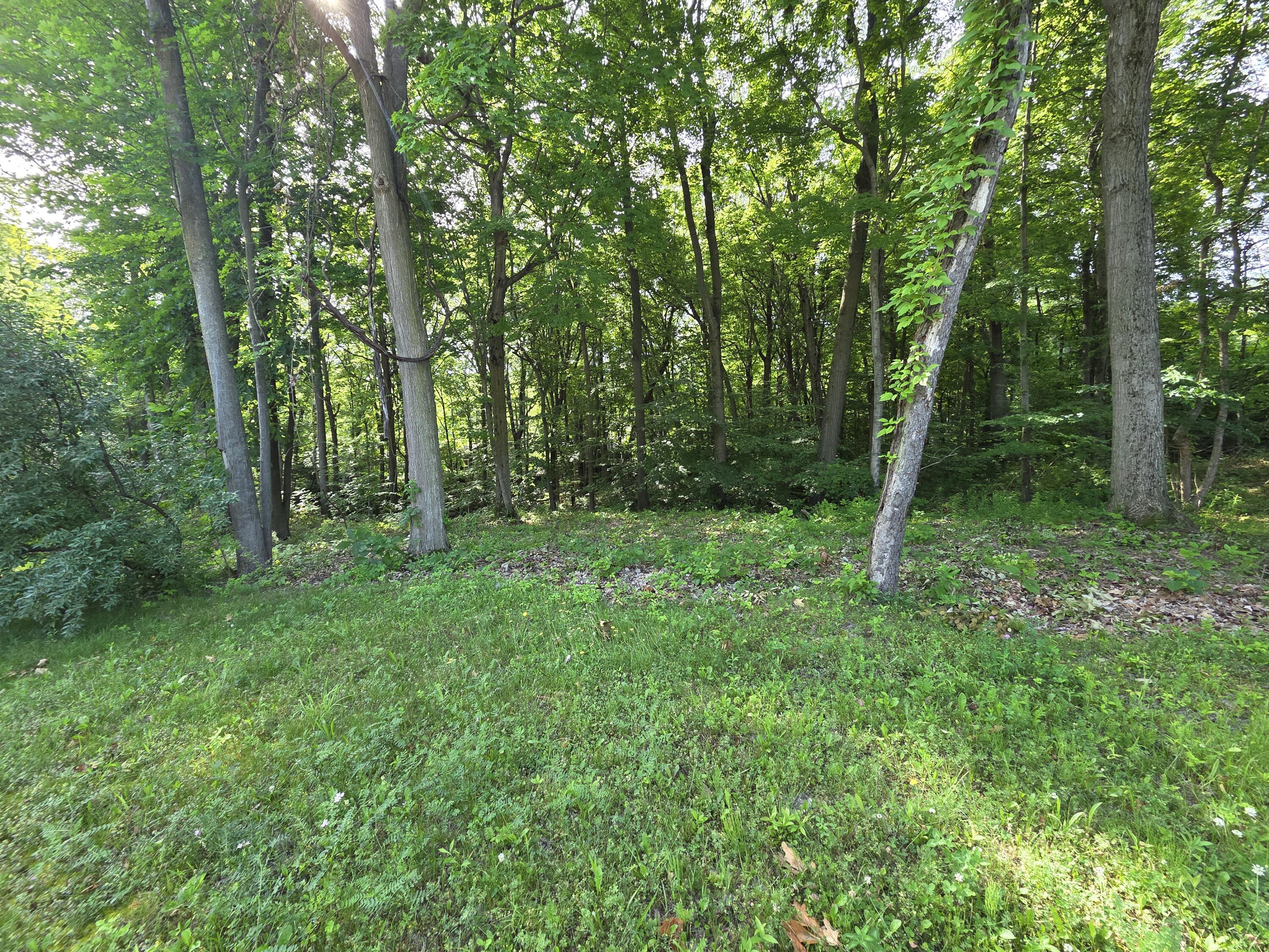 17645 Summerhill Lane New Buffalo MI 49117