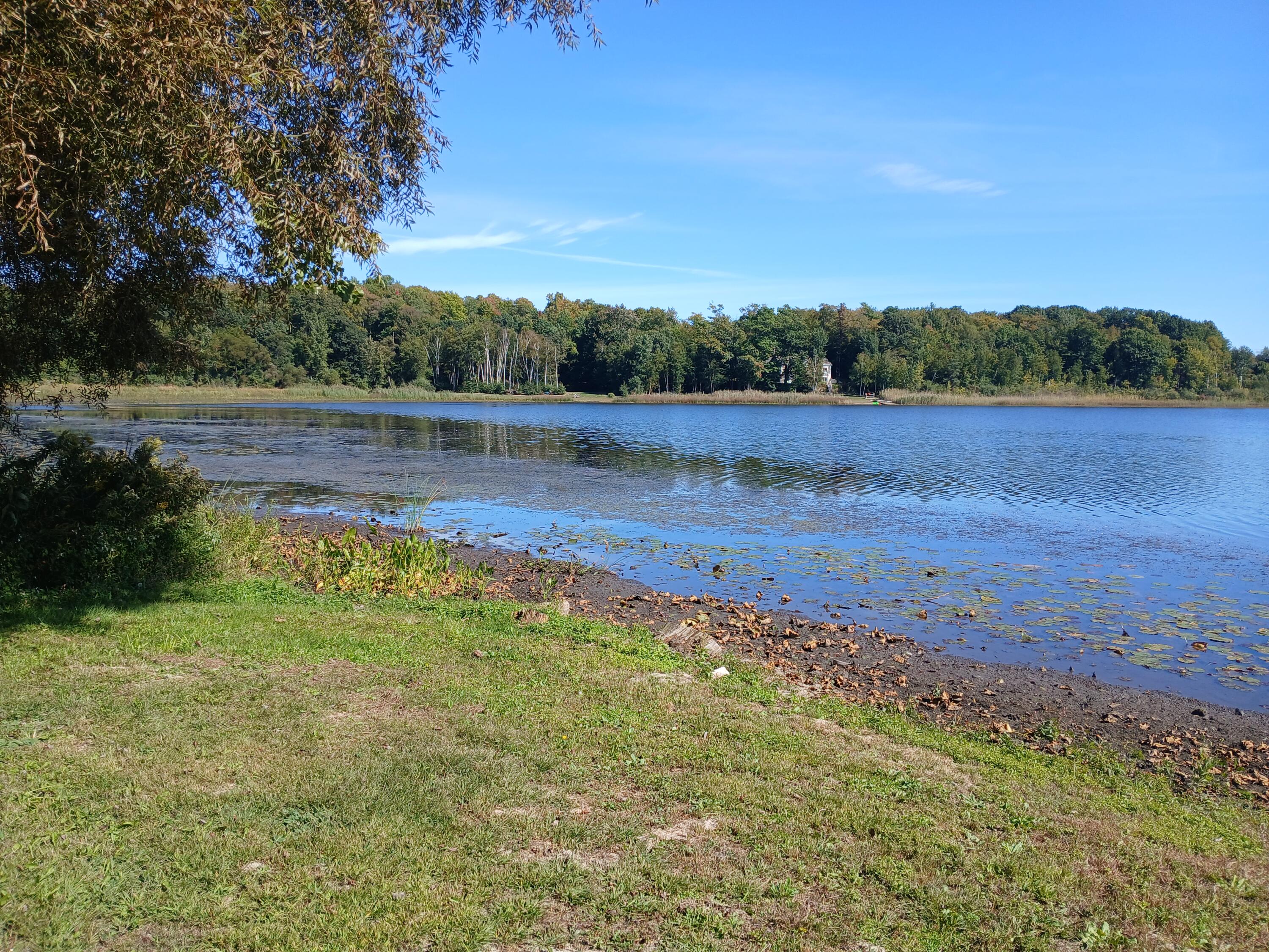 5382 W Oak Point Road Ludington MI 49431