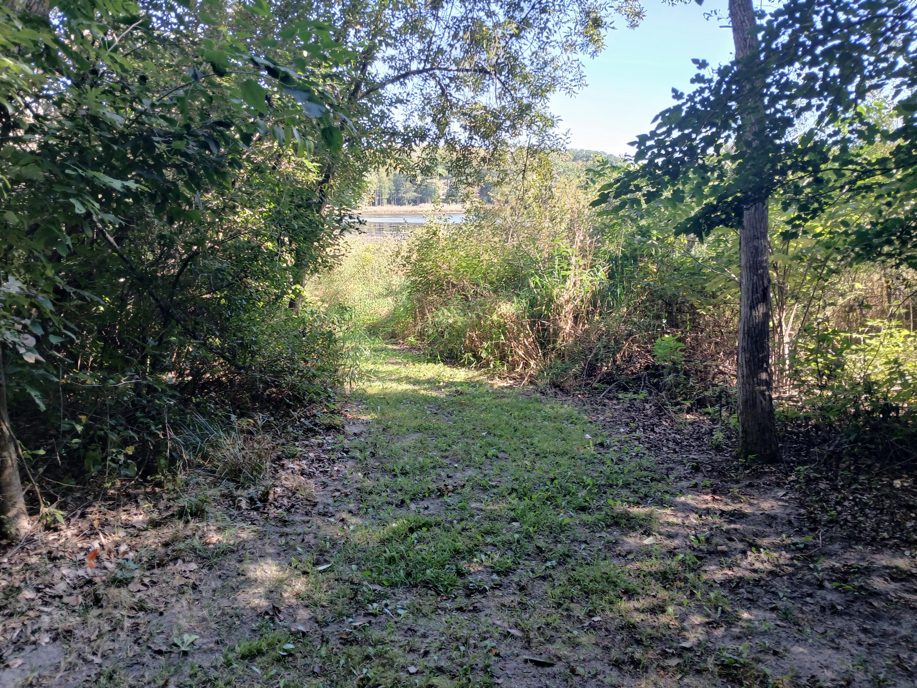 5382 W Oak Point Road Ludington MI 49431