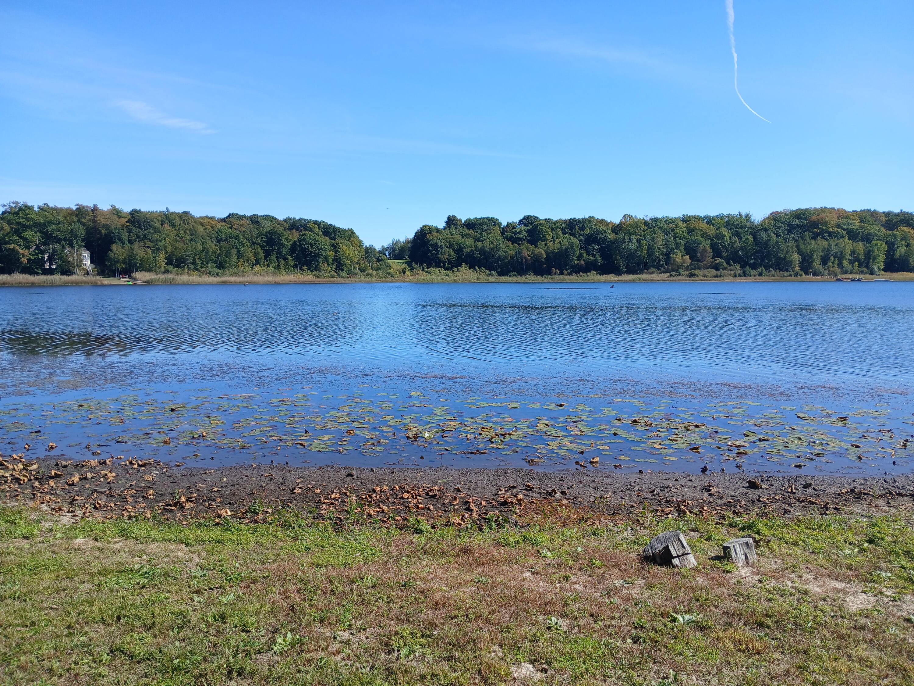 5382 W Oak Point Road Ludington MI 49431