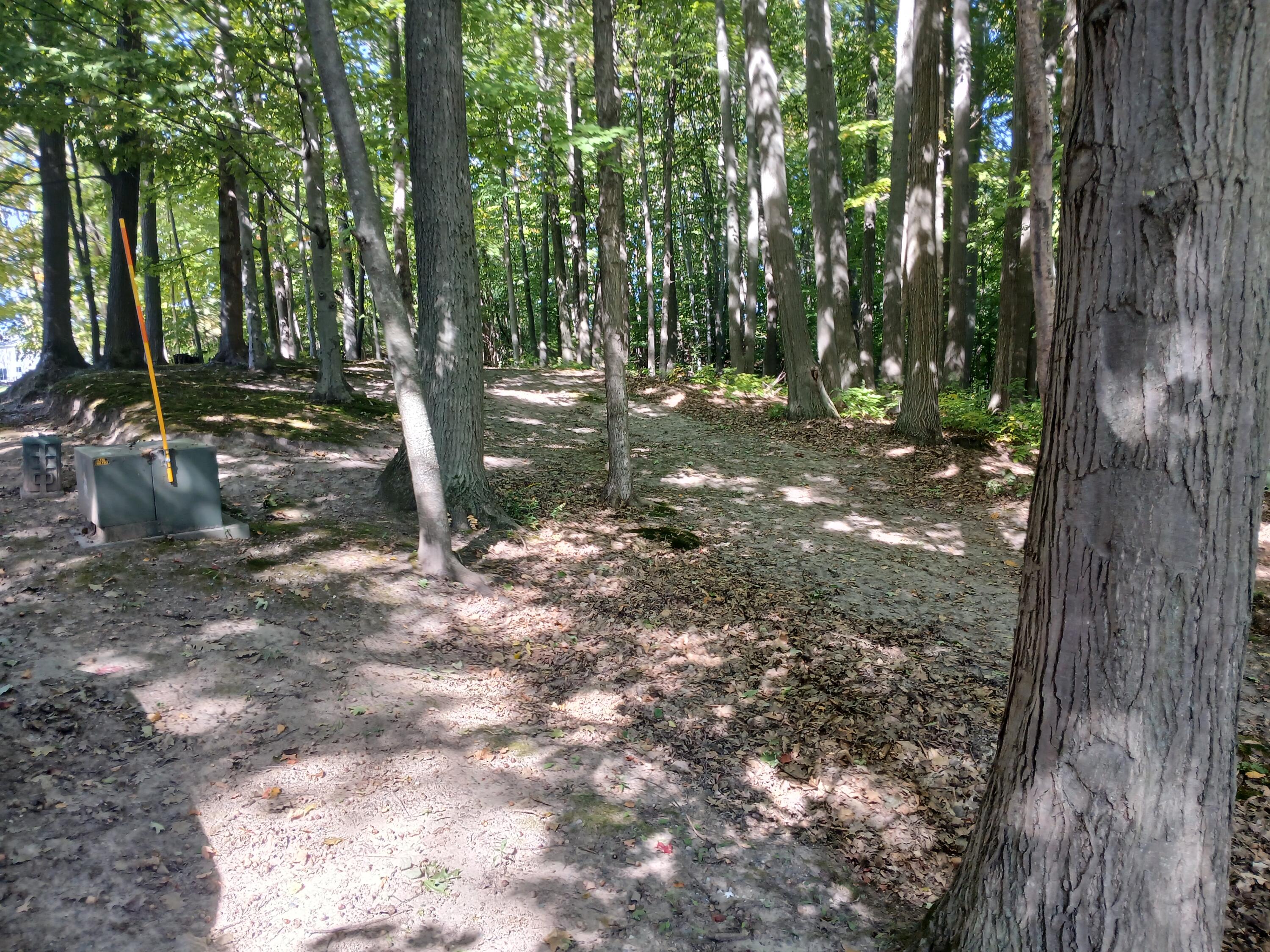 5382 W Oak Point Road Ludington MI 49431