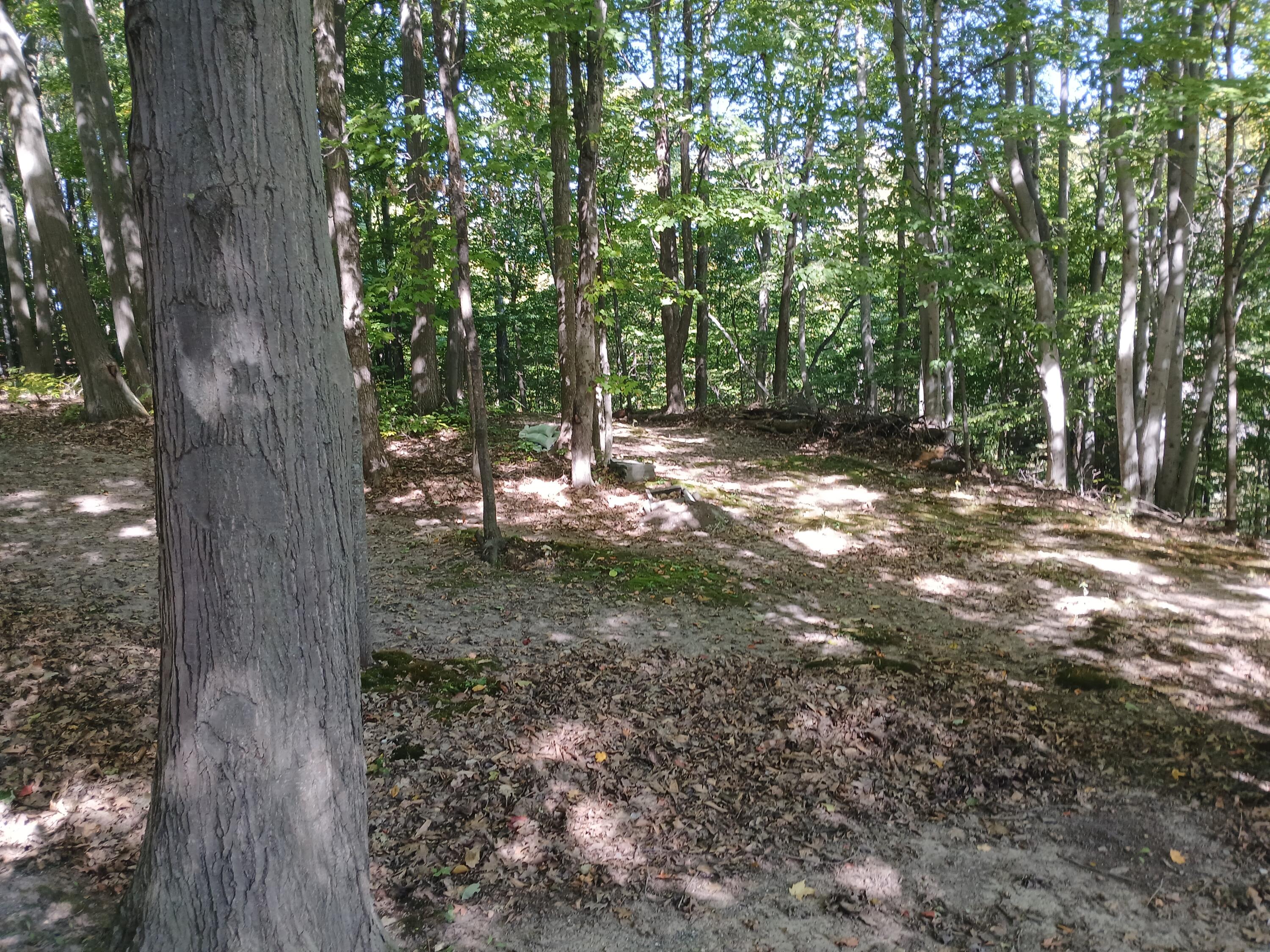 5382 W Oak Point Road Ludington MI 49431