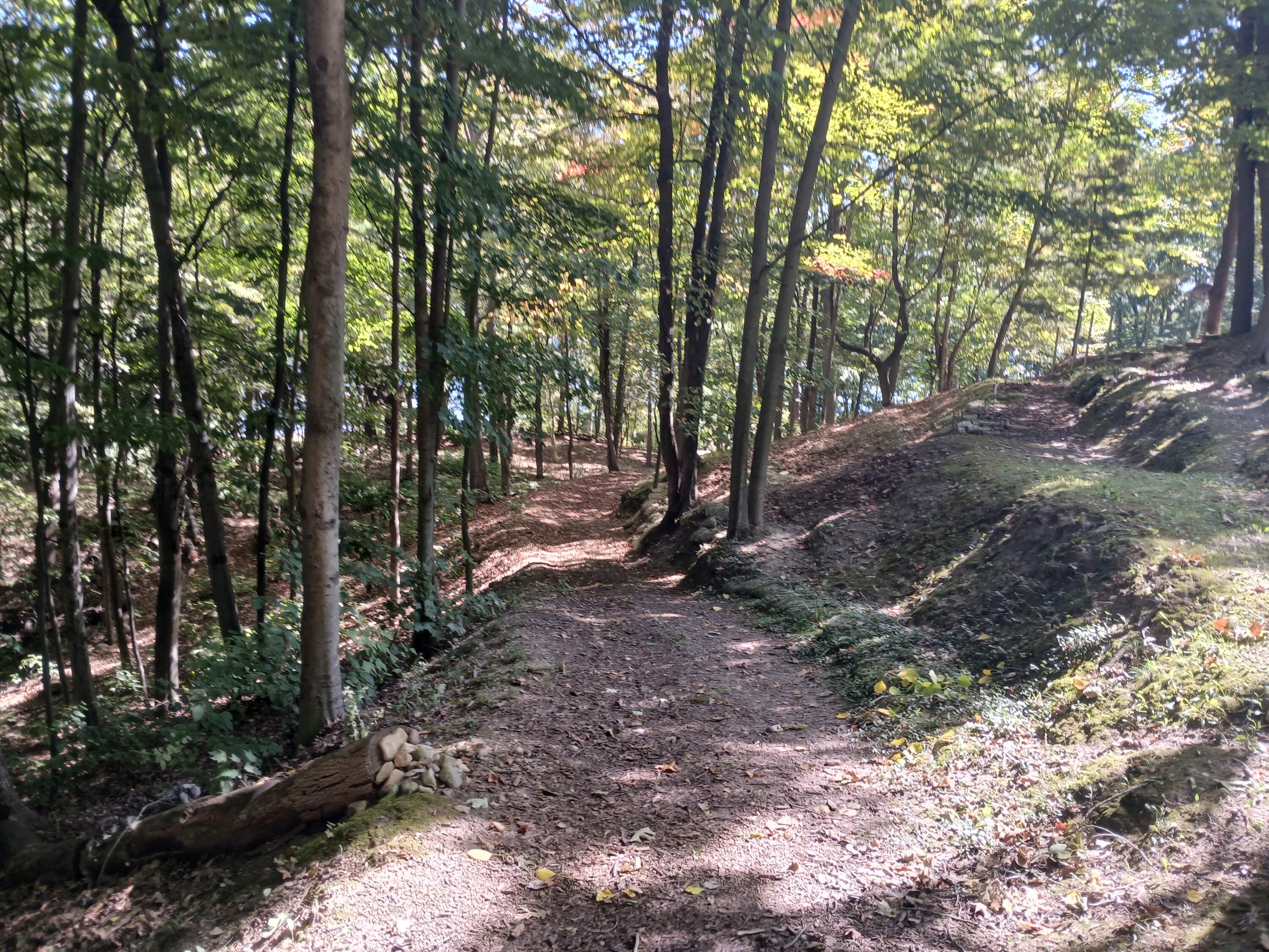 5382 W Oak Point Road Ludington MI 49431