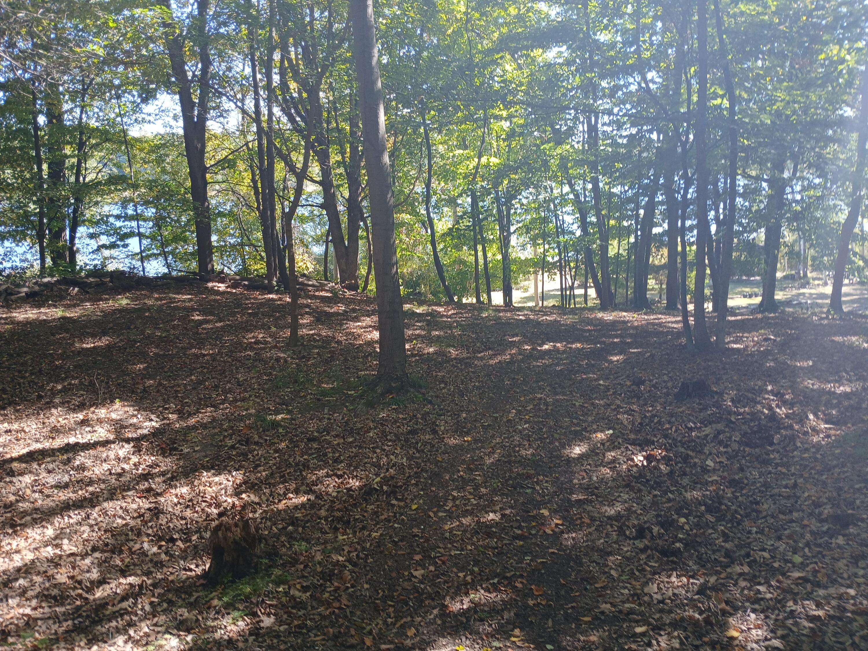 5382 W Oak Point Road Ludington MI 49431