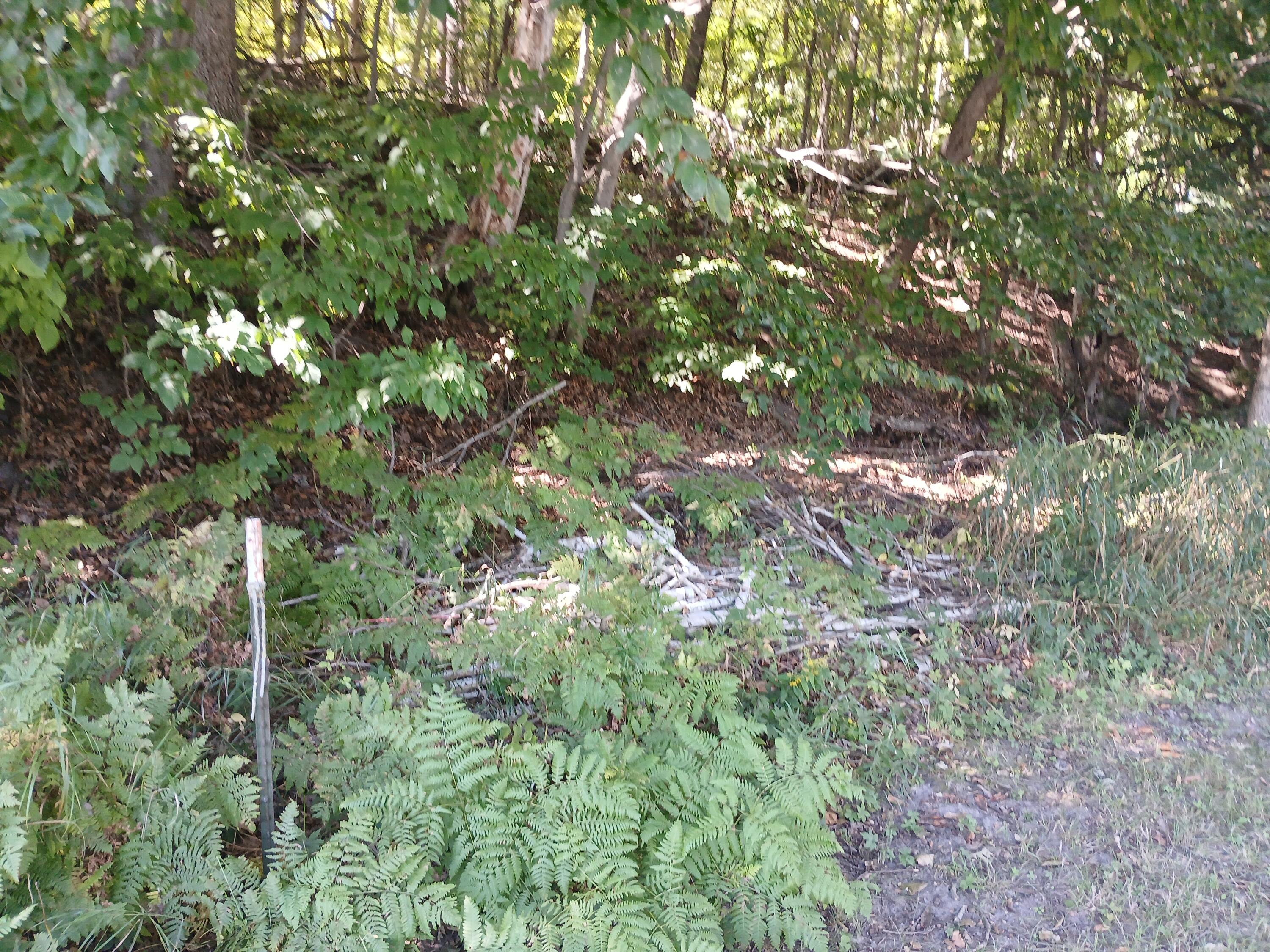 5382 W Oak Point Road Ludington MI 49431