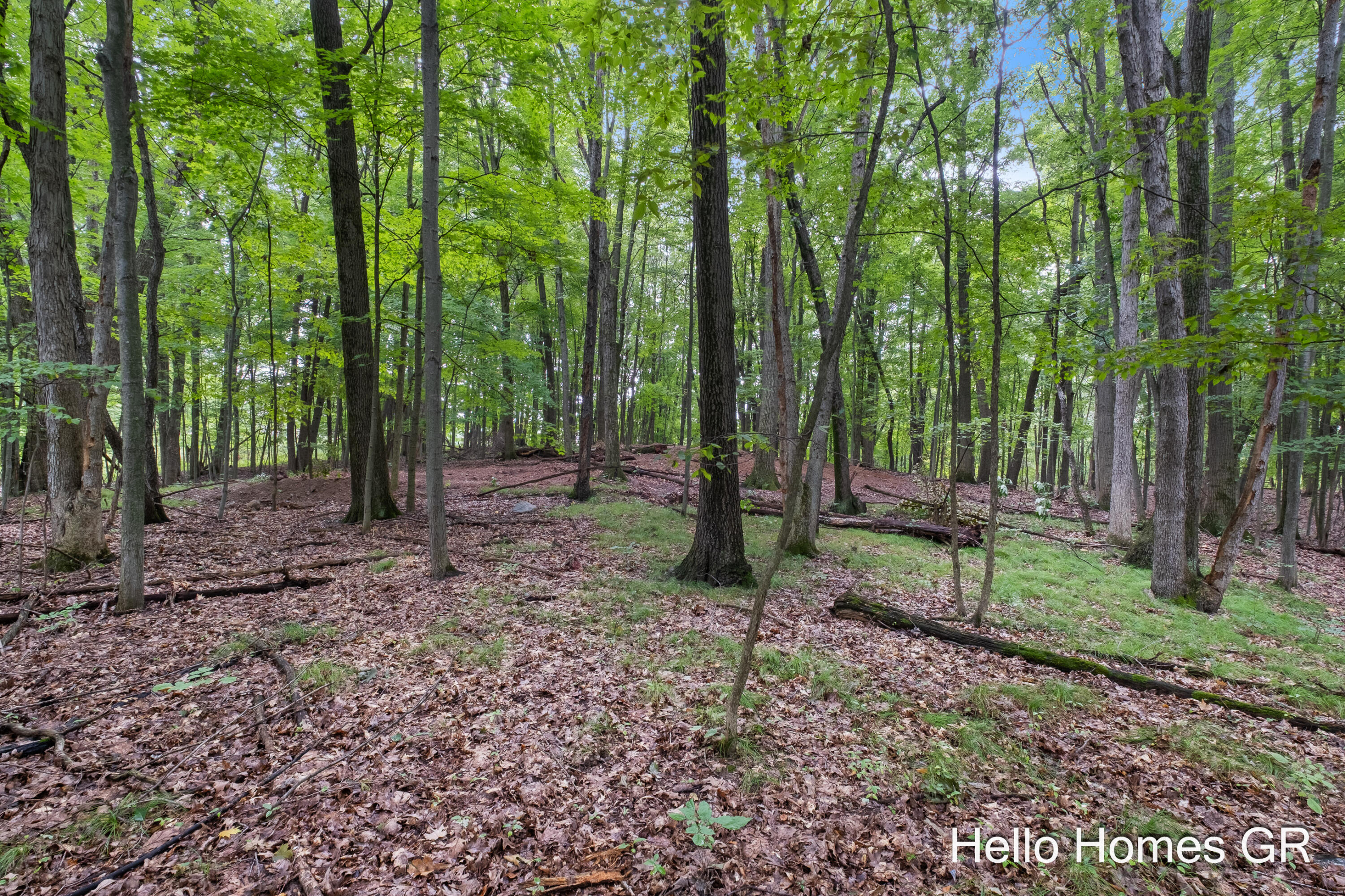 8000 Cascade Road SE Ada MI 49301