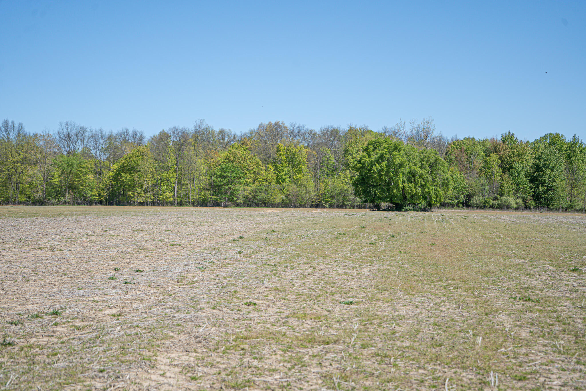Parcel 1 8th Avenue South Haven MI 49090