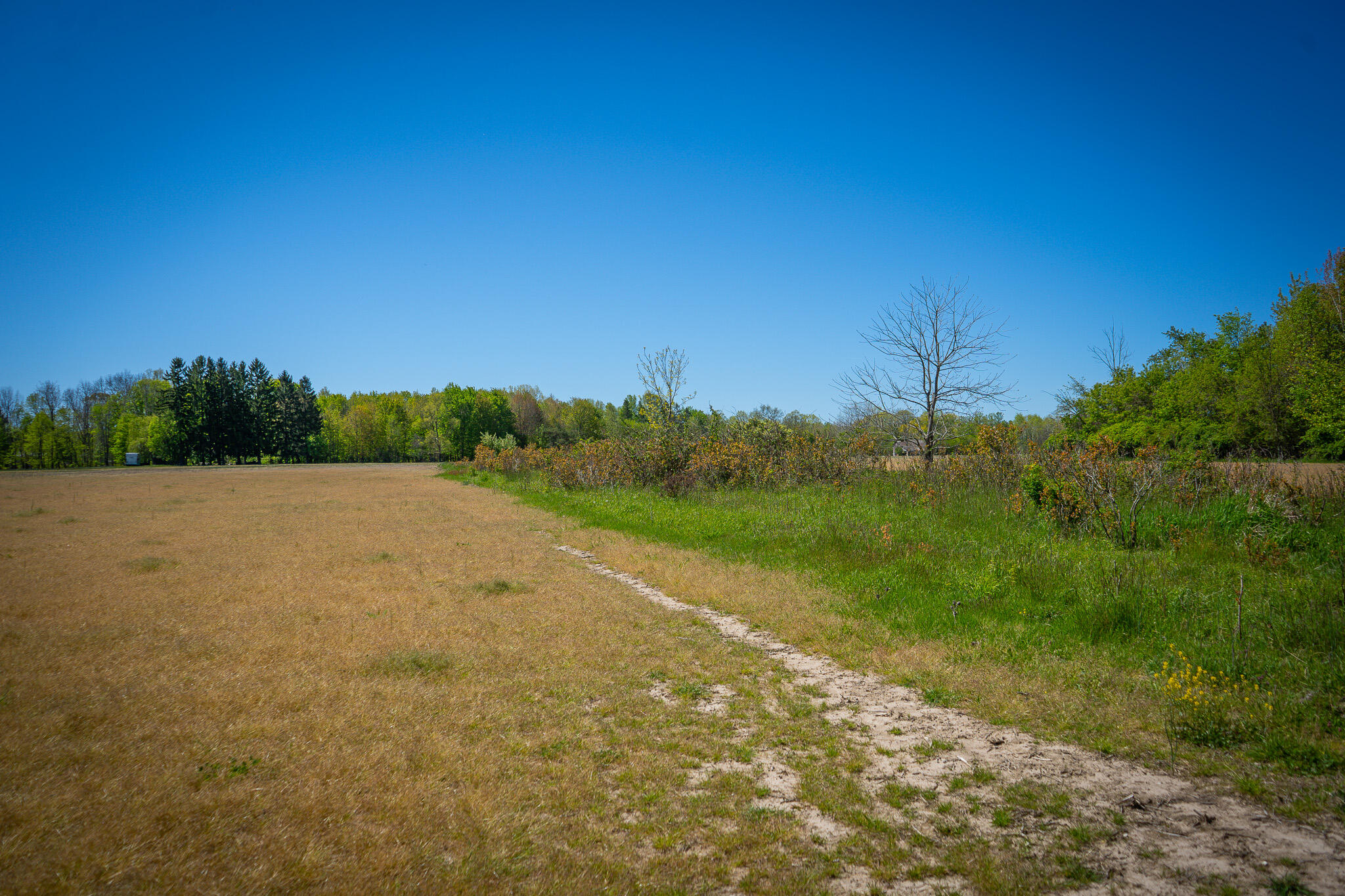 Parcel 1 8th Avenue South Haven MI 49090