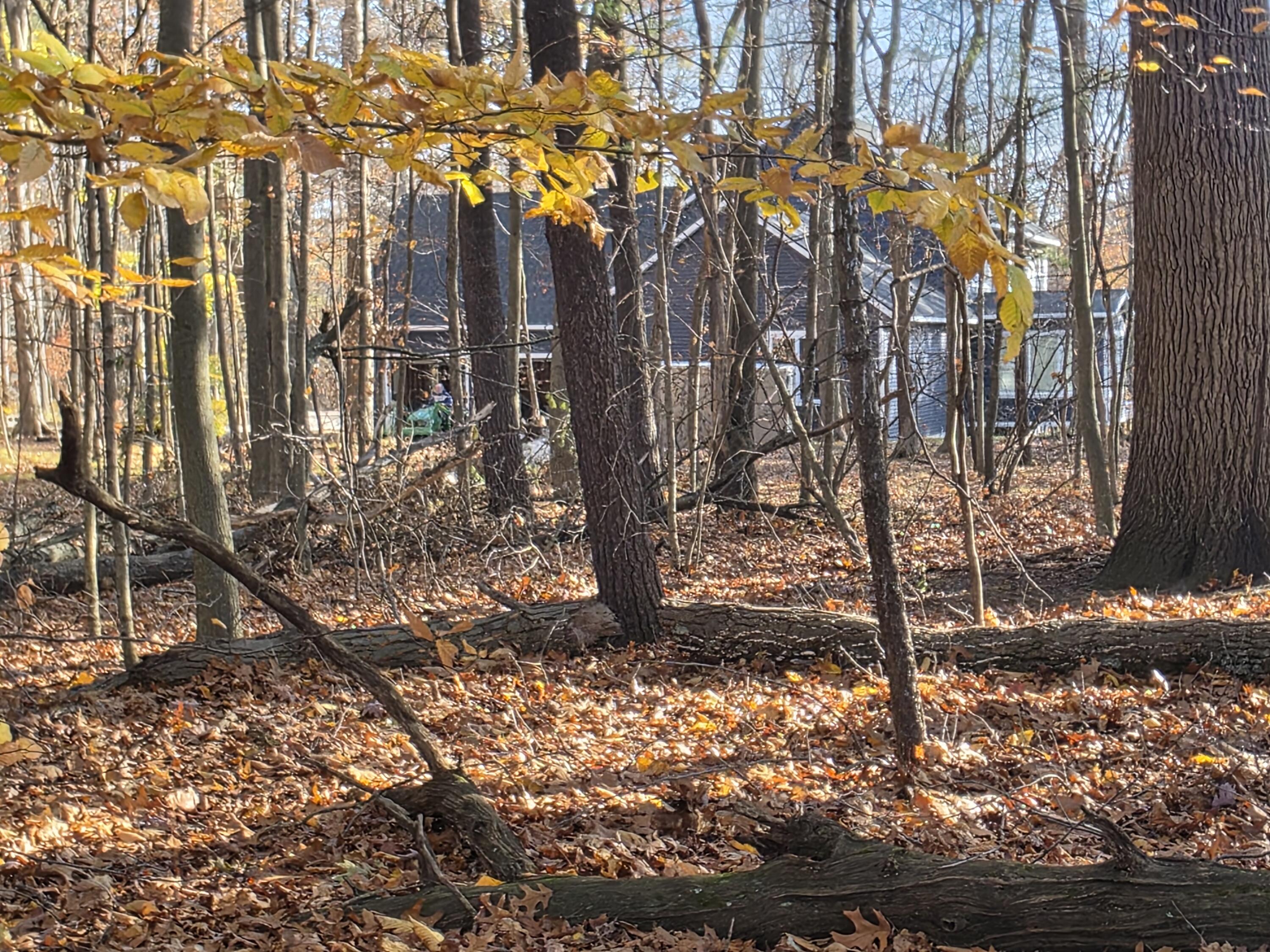 1694 Westview Drive Allegan MI 49010