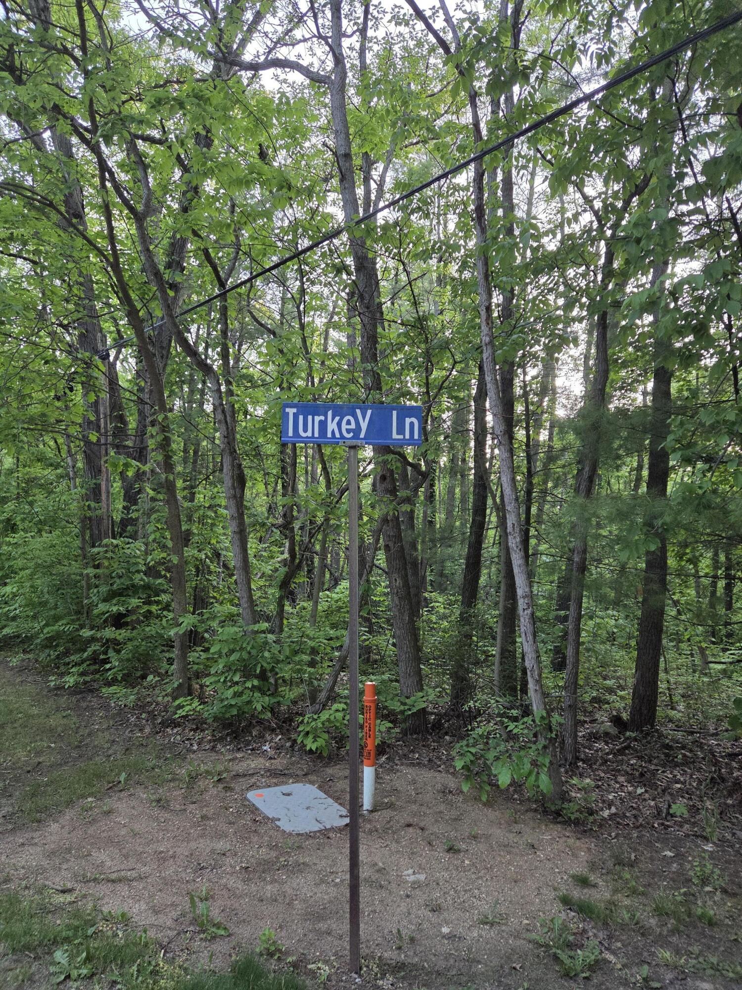 Turkey Lane Allegan MI 49010
