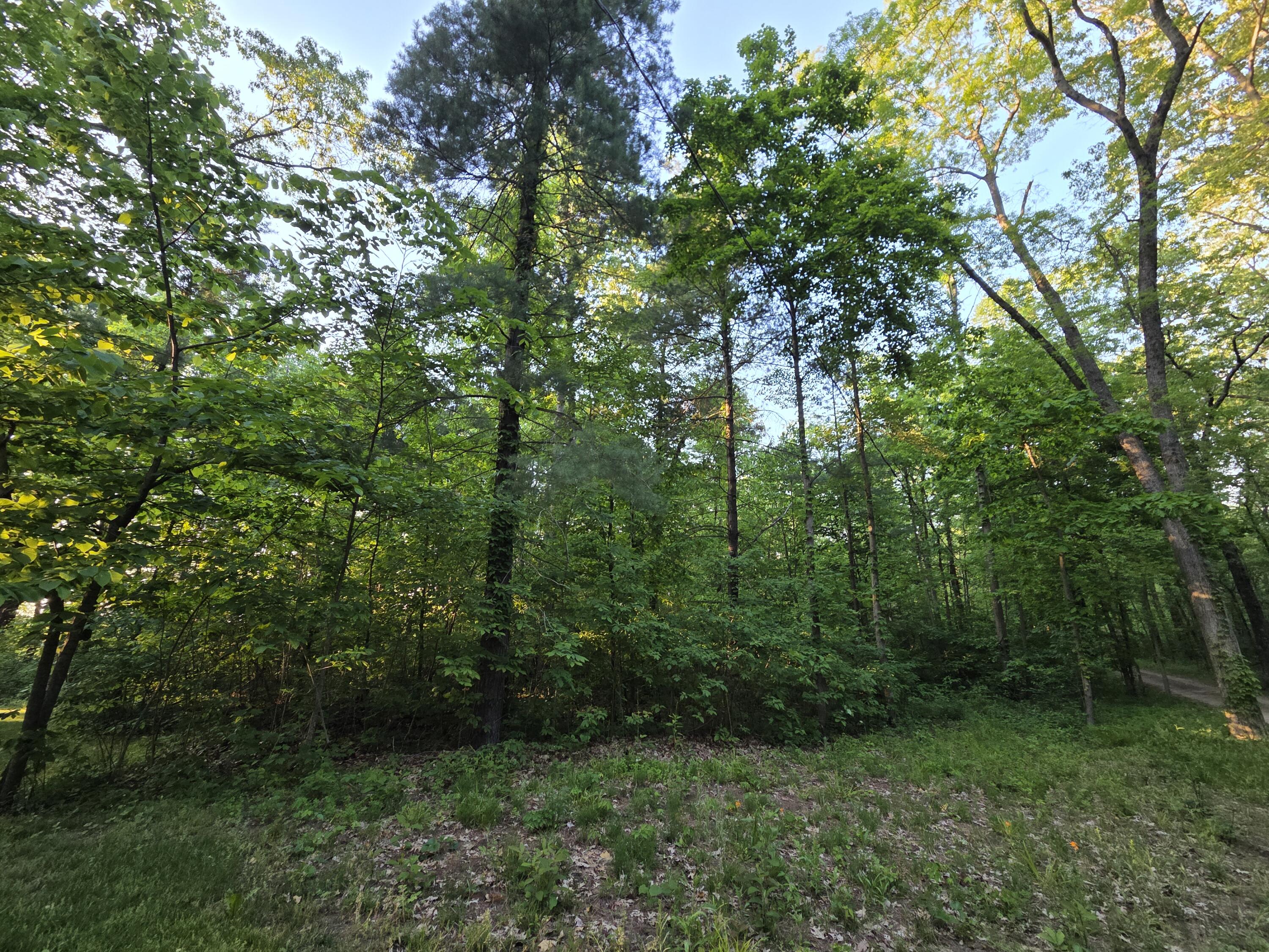 Turkey Lane Allegan MI 49010