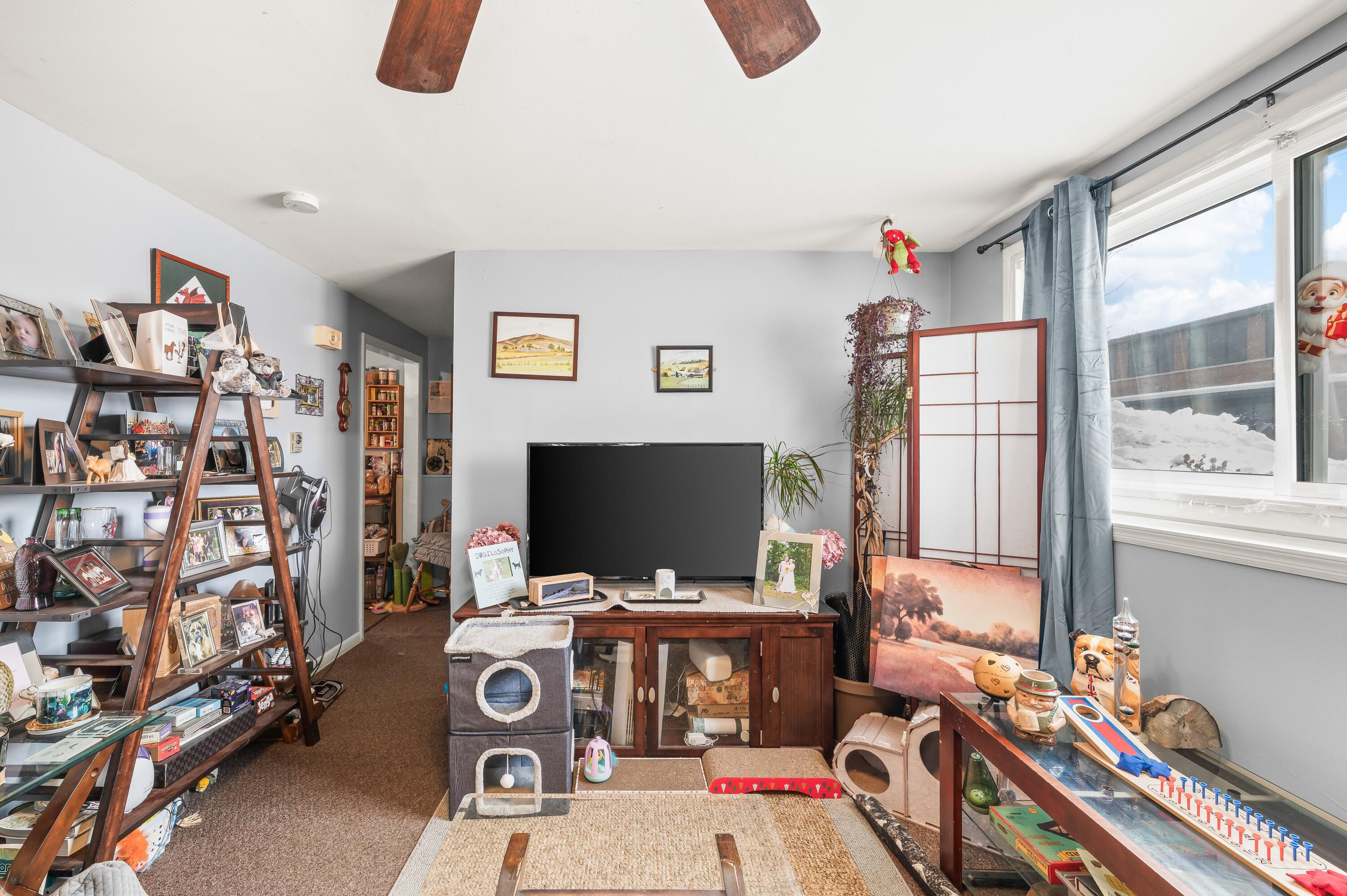 125 S Cayuga Street Buchanan MI 49107