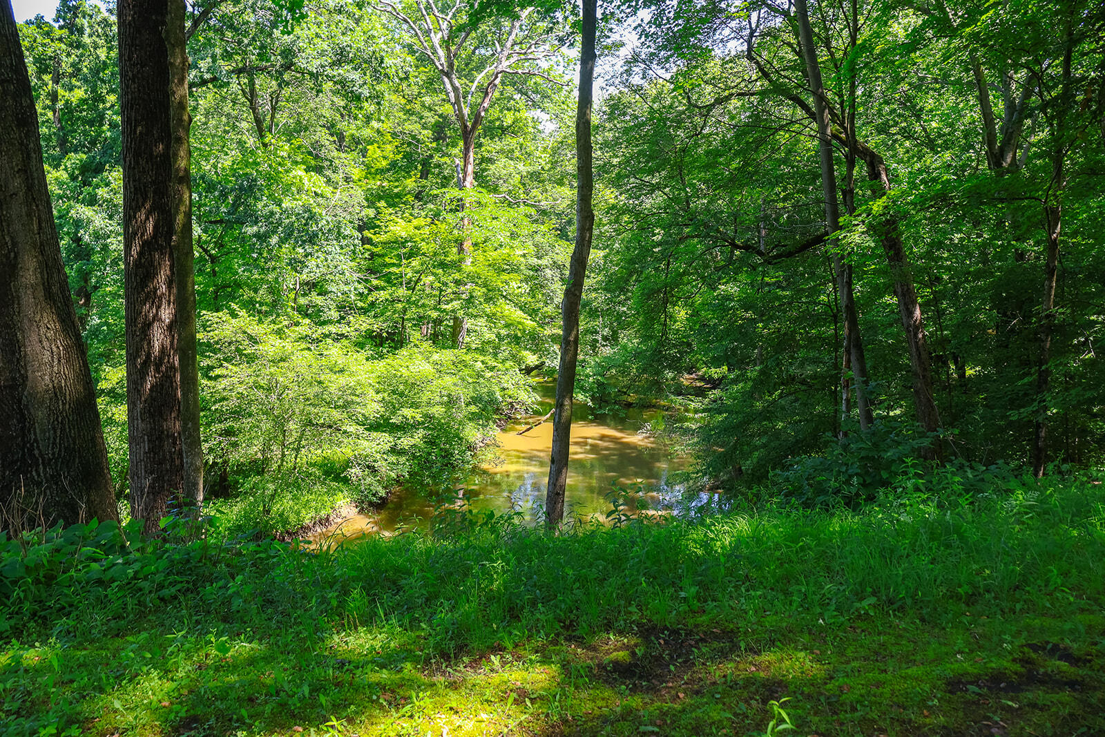 6697 Warren Woods Road Three Oaks MI 49128