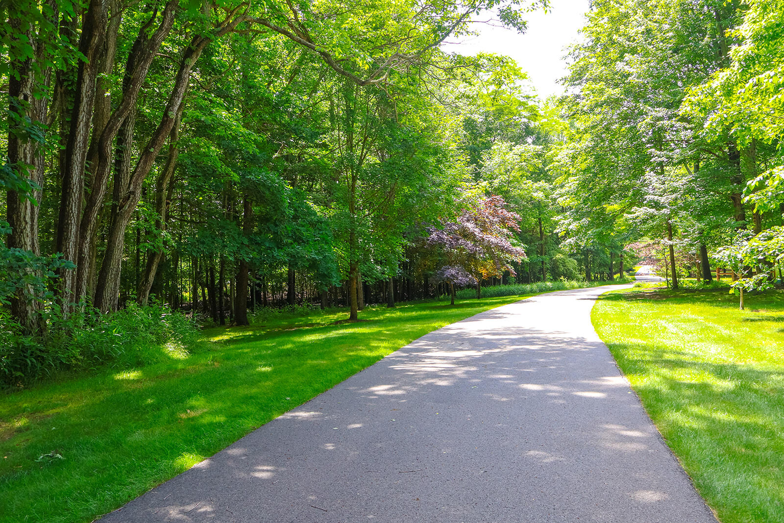 6697 Warren Woods Road Three Oaks MI 49128