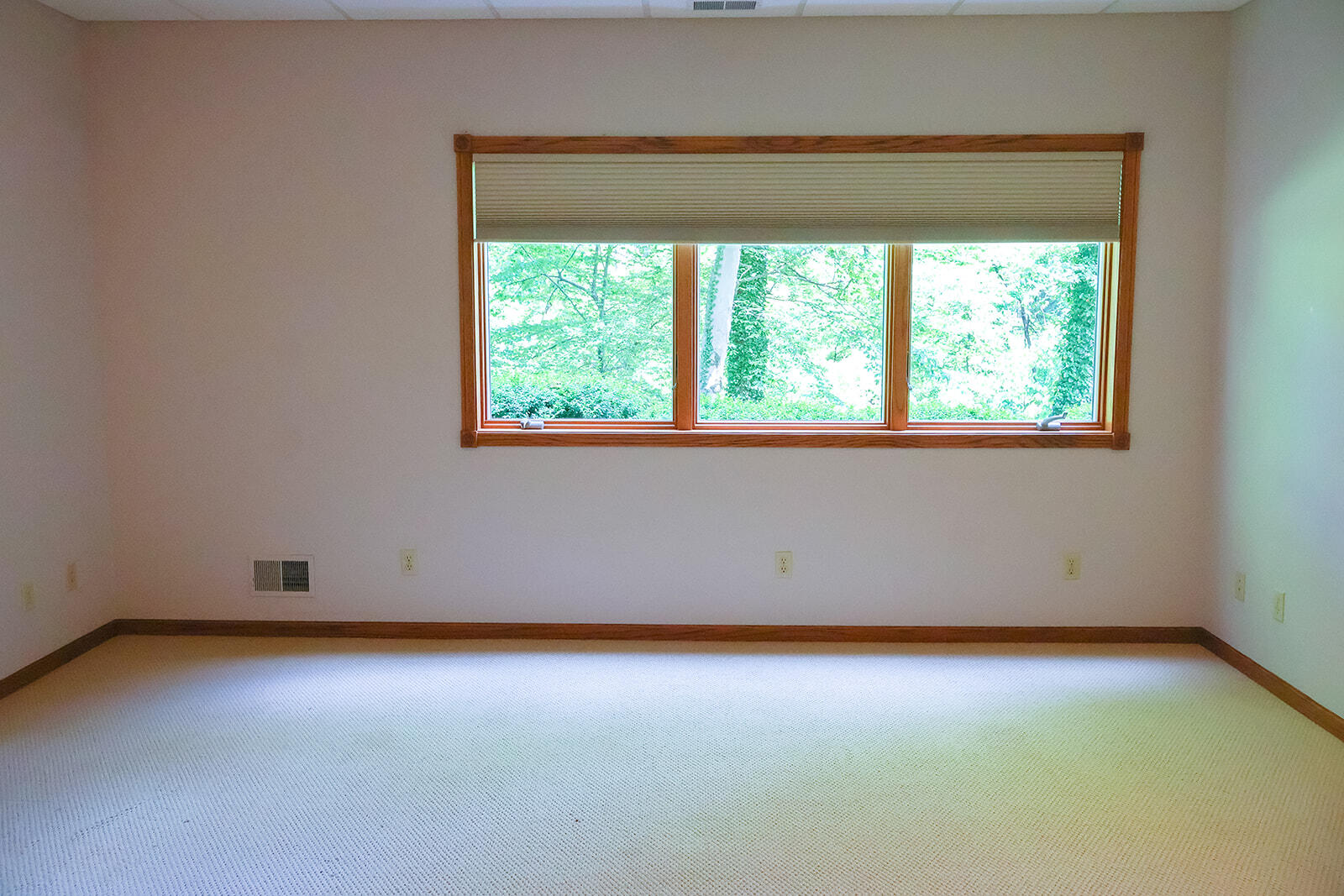 6697 Warren Woods Road Three Oaks MI 49128