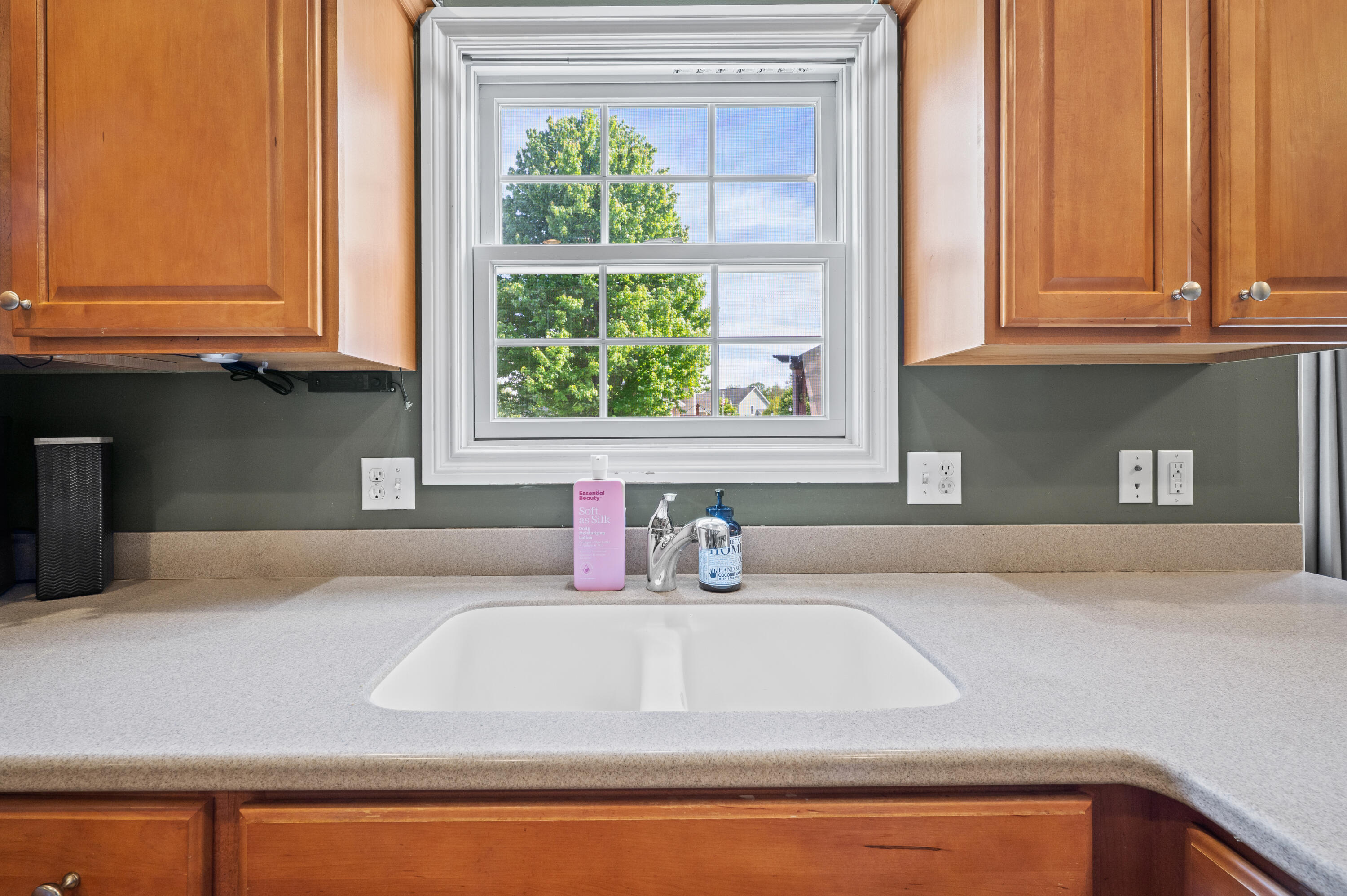 2106 Halsted Drive Stevensville MI 49127