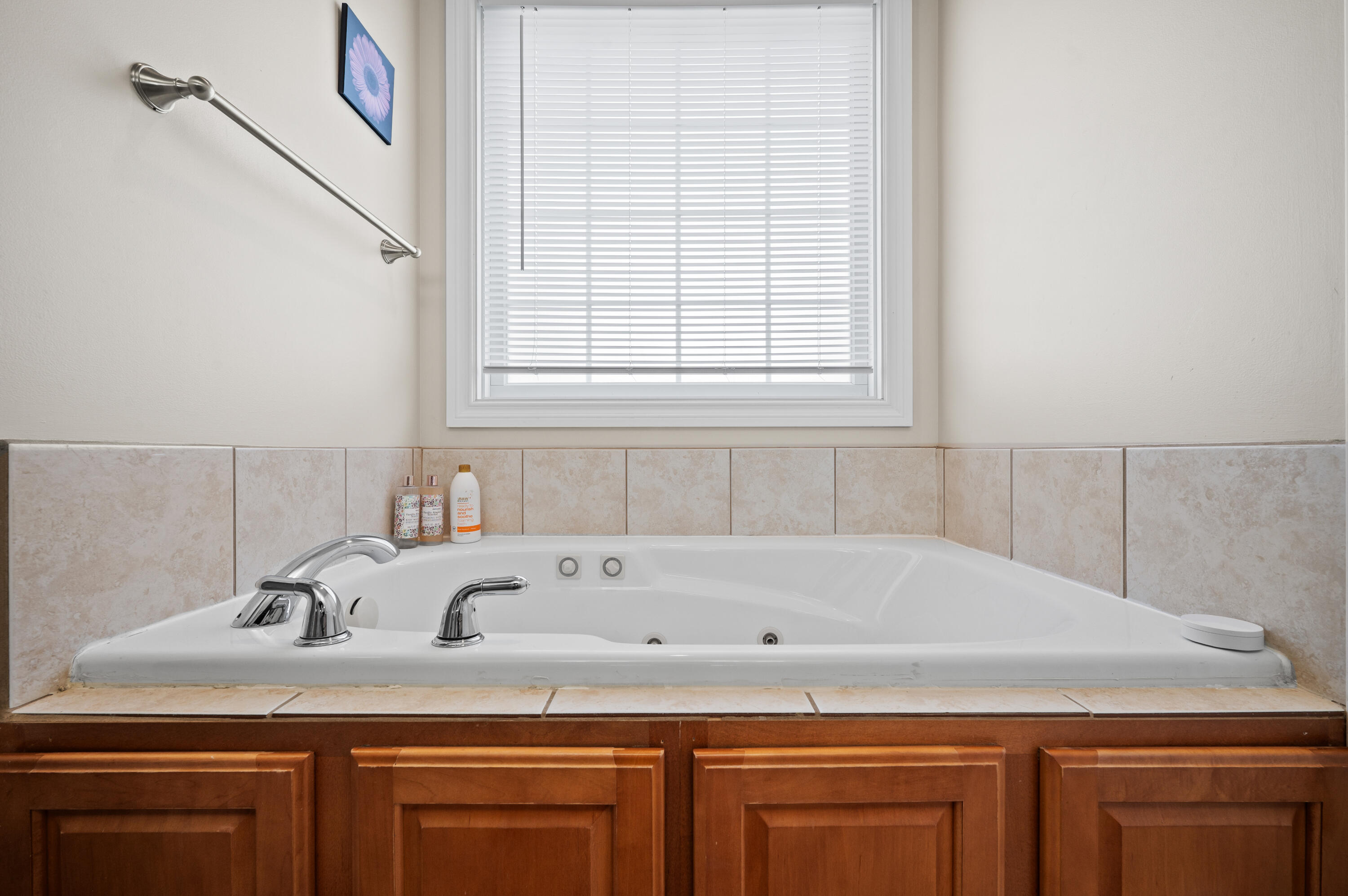 2106 Halsted Drive Stevensville MI 49127