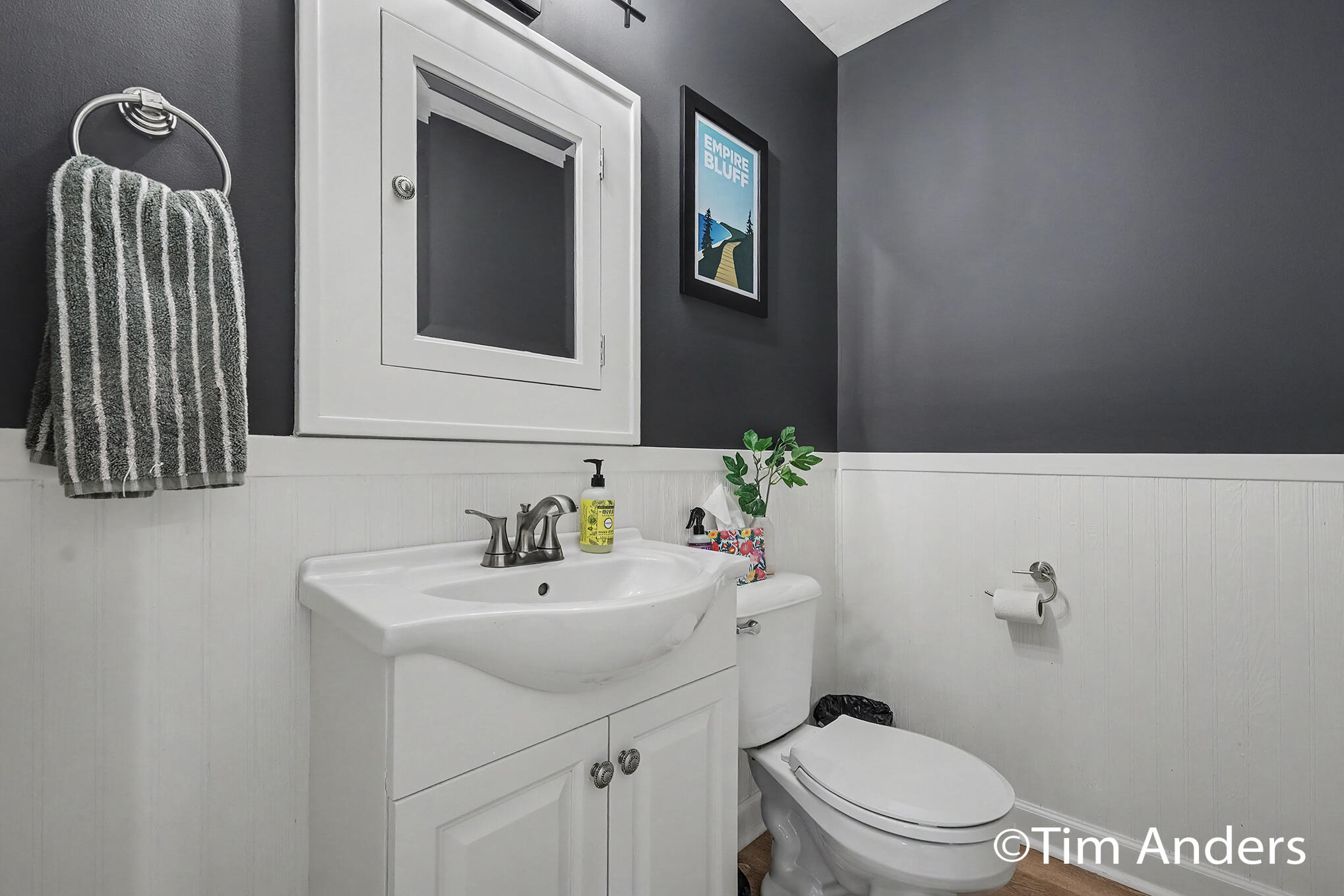 1414 Rosalind Road SE East Grand Rapids MI 49506