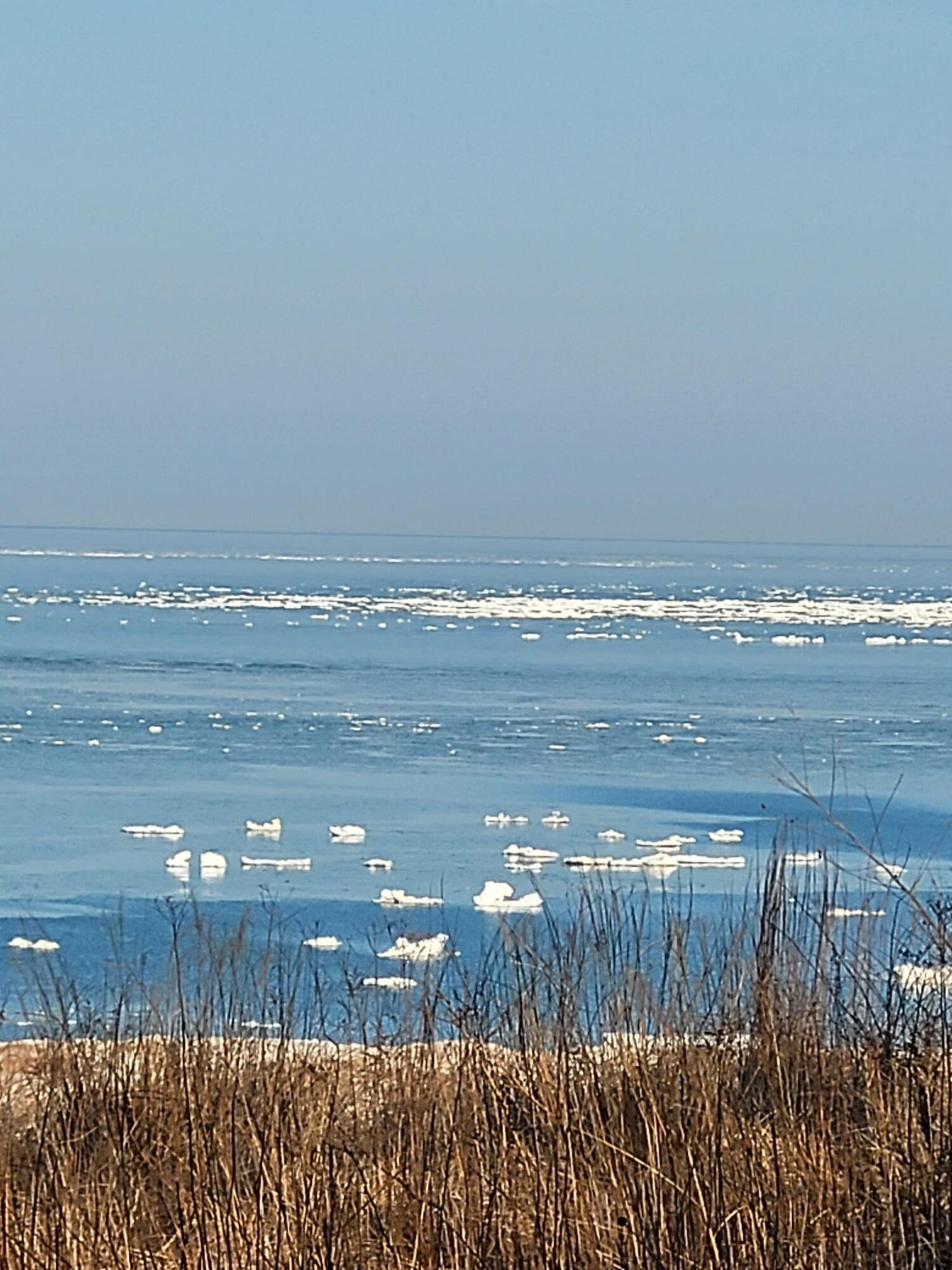 3170 Wild Dunes Path Stevensville MI 49127