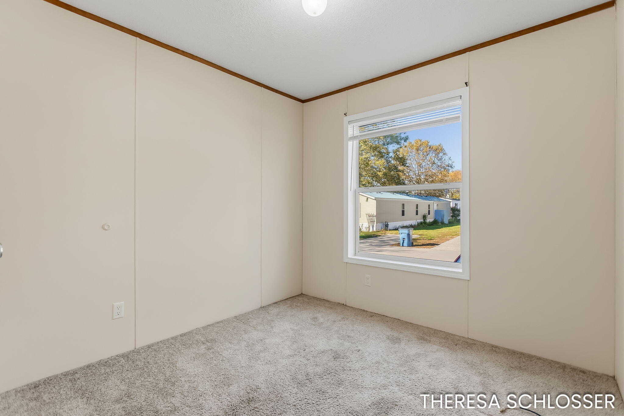 14504 Winding Creek Lane West Olive MI 49460