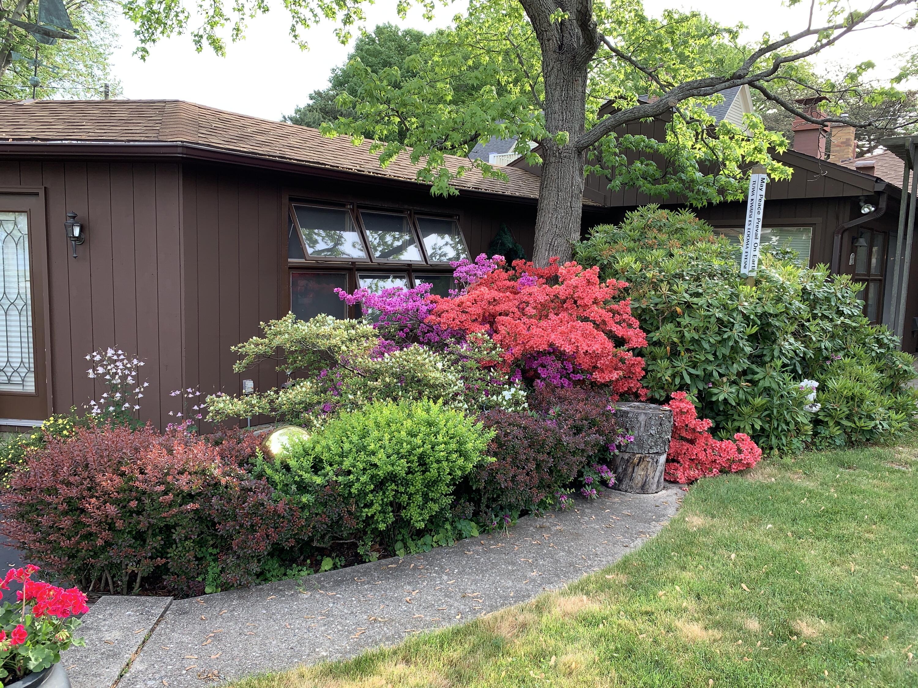 51 Pine Street South Haven MI 49090