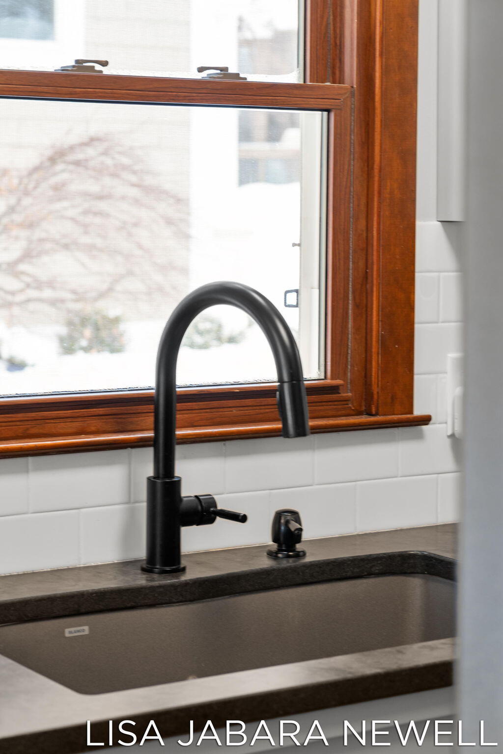 1738 Waukazoo Drive Holland MI 49424