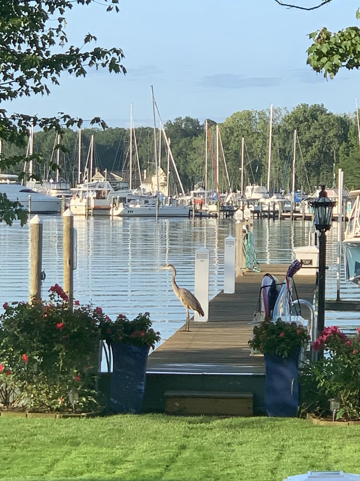 1738 Waukazoo Drive Holland MI 49424