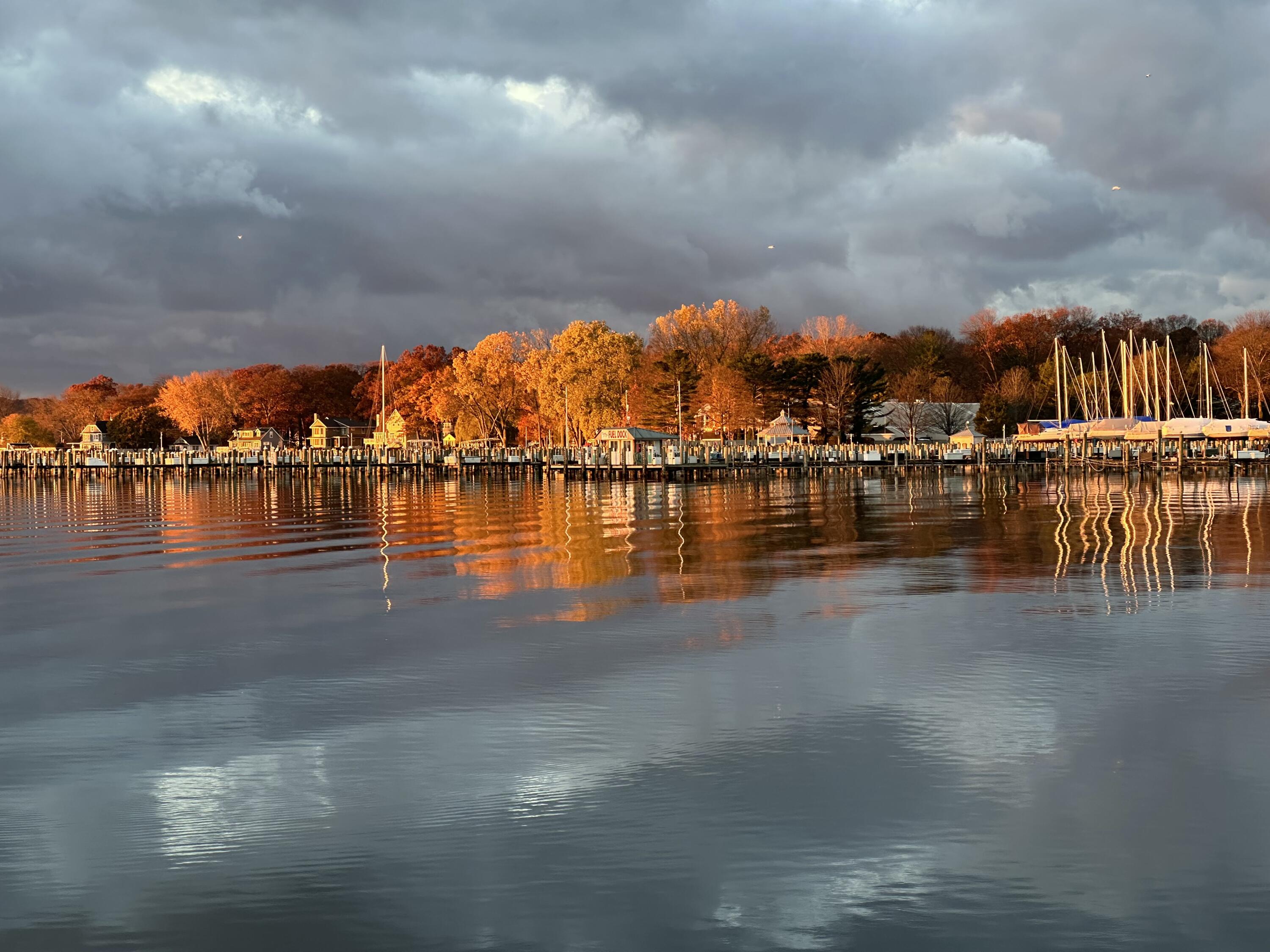 1738 Waukazoo Drive Holland MI 49424