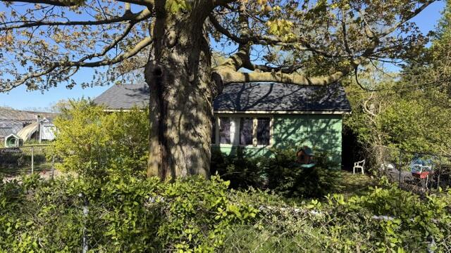 2820 Sheffield Street Norton Shores MI 49441