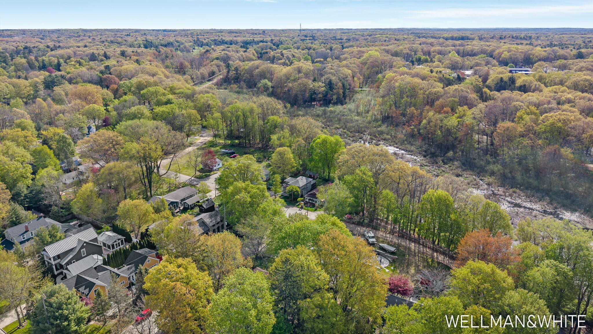1005 Elizabeth Street Saugatuck MI 49453