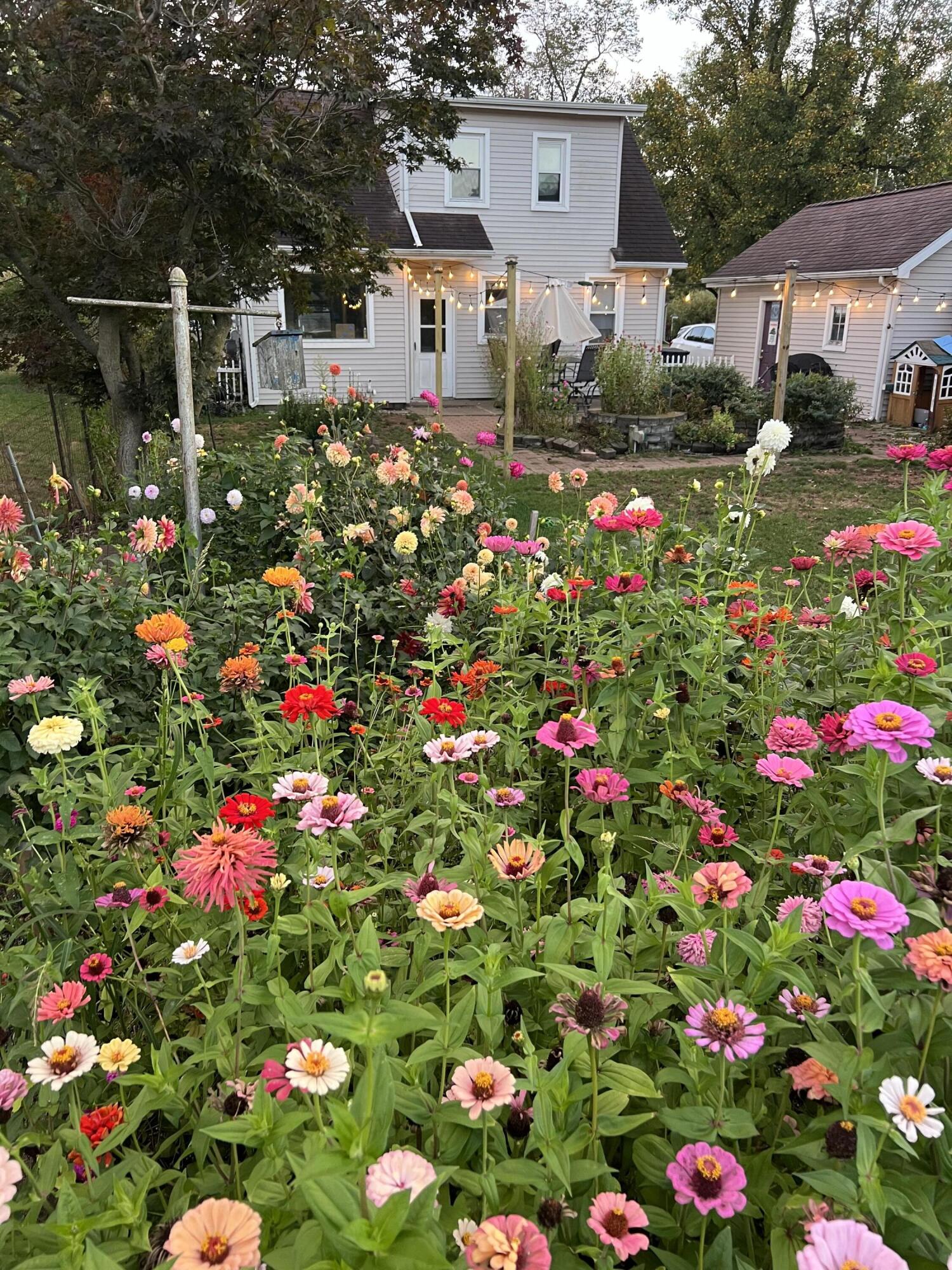 420 Oakhurst Avenue Kalamazoo MI 49001