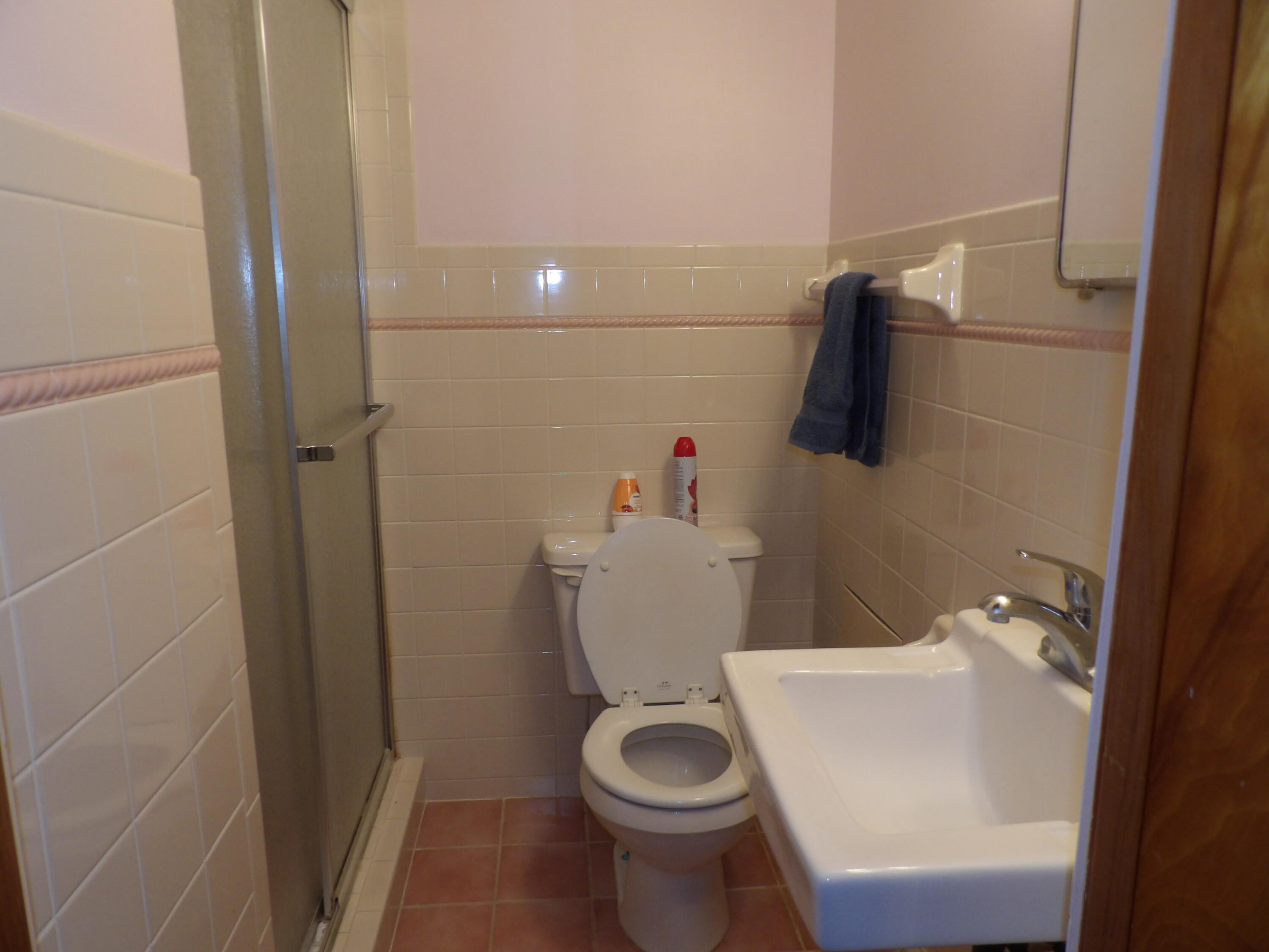 415 Remus Drive Buchanan MI 49107