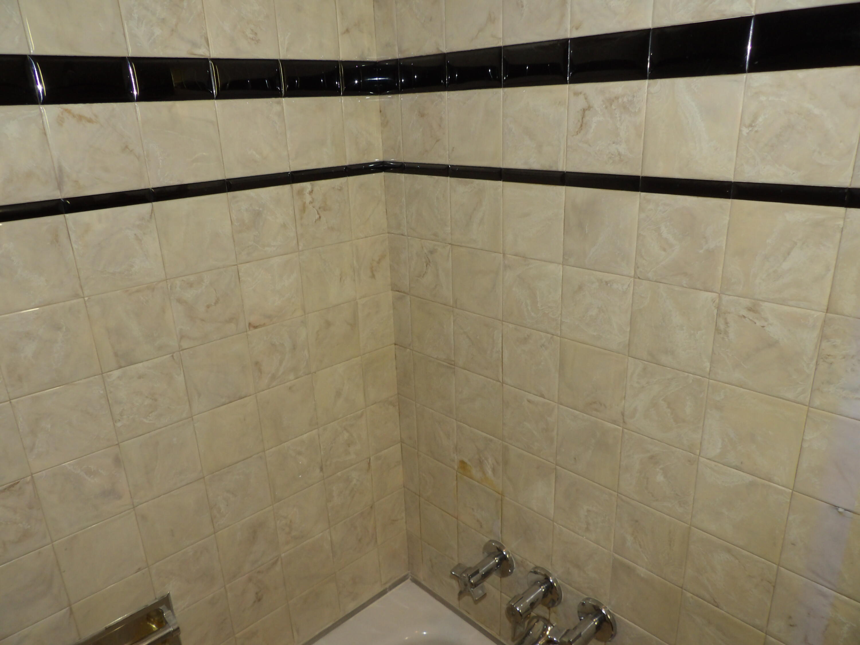 415 Remus Drive Buchanan MI 49107