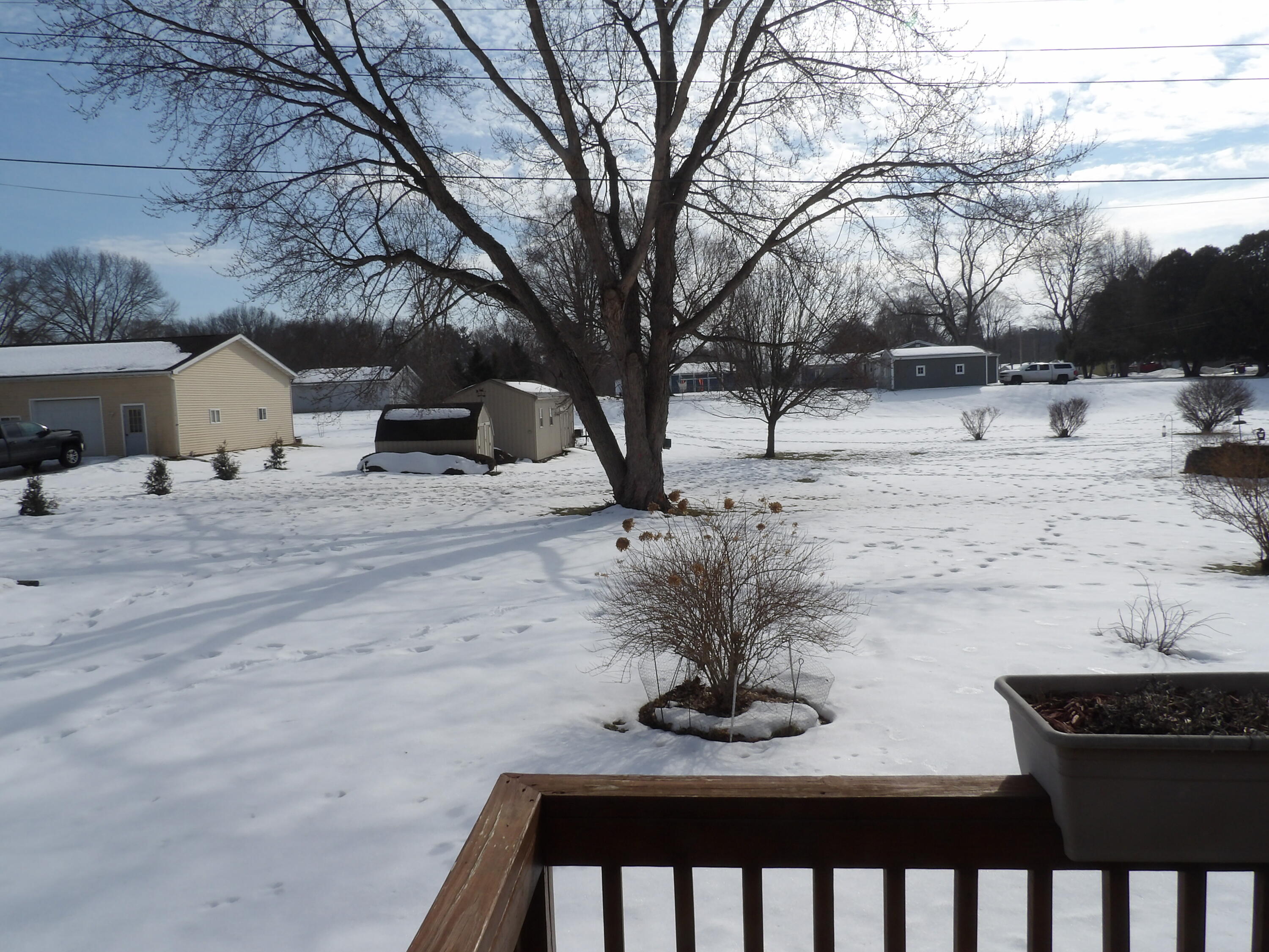 415 Remus Drive Buchanan MI 49107
